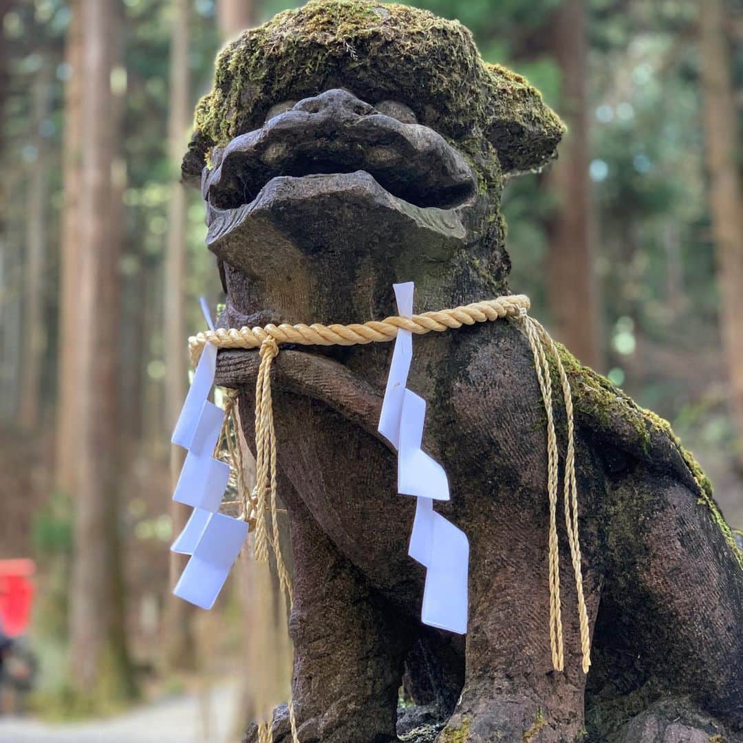 山崎拓巳さんのインスタグラム写真 - (山崎拓巳Instagram)「日立の 御岩神社へ  宇宙空間から観ると 光の柱が立ってるんだってよ。  #やる気 #やる気スイッチ #やる気のスイッチ #やる気でない #神社好きな人と繋がりたい  #神社仏閣巡り」12月19日 11時16分 - dana37