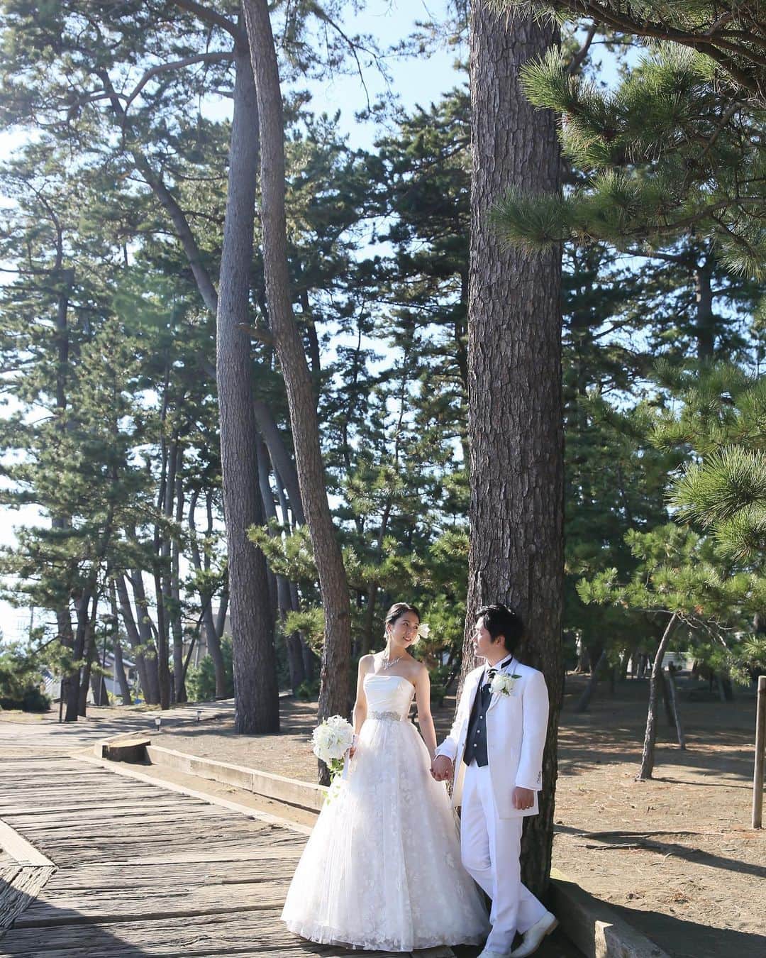 指帆亭のグルメインスタ