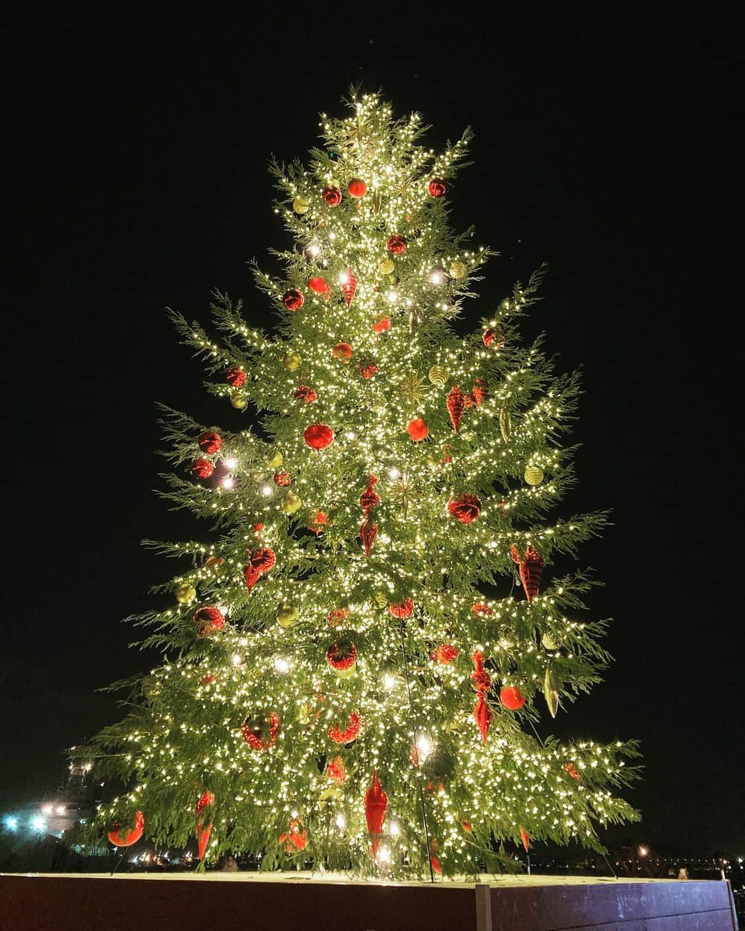 長谷部瞳のインスタグラム：「みなとみらいの クリスマスマーケットに行きました🎄  最高❤️キレイ😍 今年は予約制だそうですが 平日は無料でしたよ✨  #クリスマスツリー #クリスマスイルミネーション #クリスマスマーケット #赤レンガ倉庫 #赤レンガ倉庫クリスマスマーケット #みなとみらい #横浜観光 #イベント情報 #イルミネーション2020」