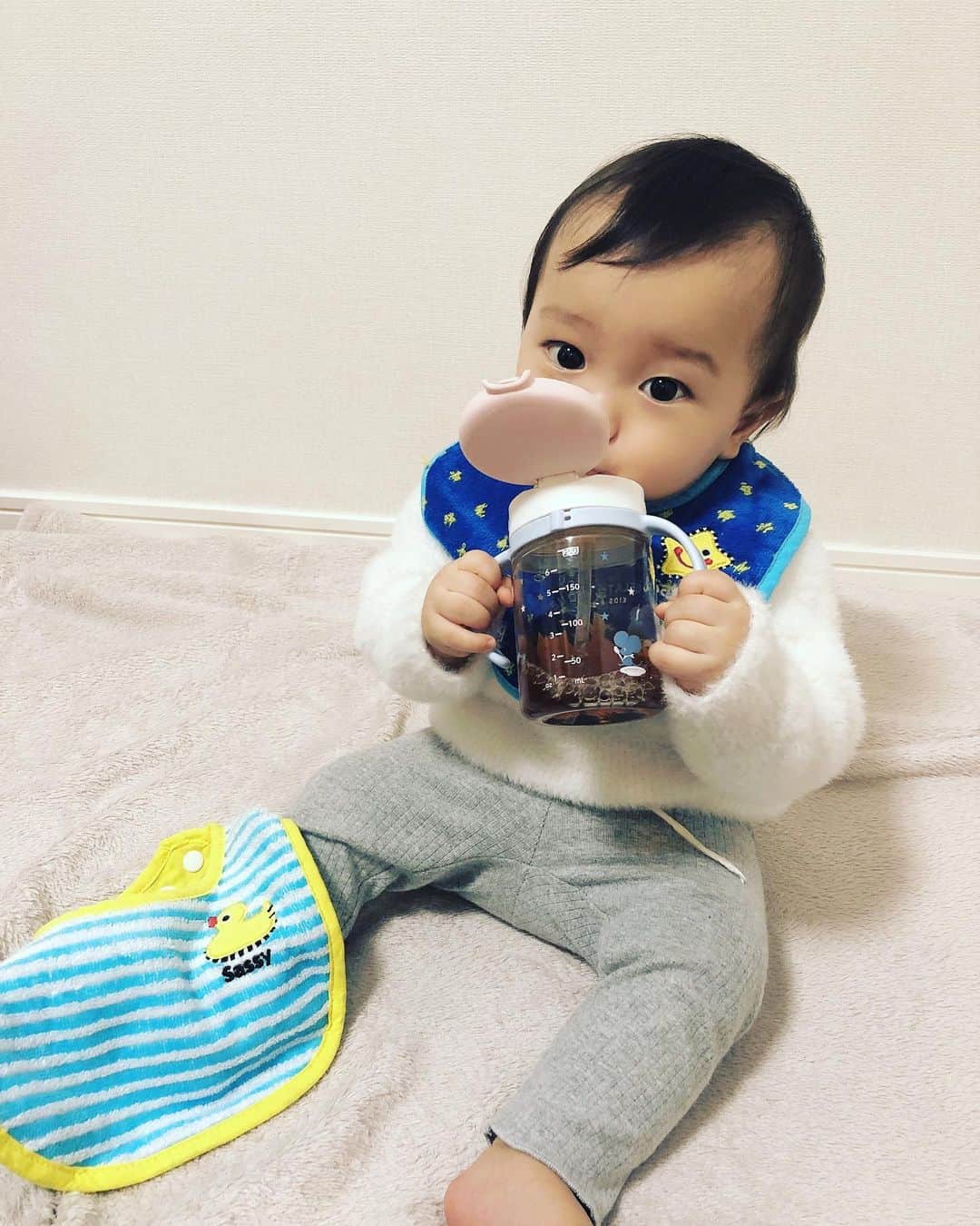 関口未来さんのインスタグラム写真 - (関口未来Instagram)「ご掲載ありがとうございます💙 #Repost @sassybaby_jp with @get_repost ・・・ .⁣ 今日は @miki.sekiguchi さんからいただいた素敵なお写真をご紹介します📸⁣ 『サッシータオル・ビブセット ブルー』を使っていただきました👶🐝⁣ ⁣ @miki.sekiguchi さんからは、⁣ 「触り心地がよく、タオル好きの息子はずっと触ったり舐めたりしていました！！⁣ デザインがとても、可愛いのでシンプルなお洋服でもアクセントになってとても良いです︎⁣ 面積が大きいので、ビショビショになってすぐに取り替えなきゃいけないということもなく、吸水もよく、親としてもとてもよかったです！」⁣ とコメントをいただきました😊💓⁣ ⁣ 素敵なお写真ありがとうございました☺⁣ ⁣ ⁣ #エアリータオル #ウォシュタオル #サッシー #ダッドウェイ #おもちゃ #知育 #知育玩具 #ベビー用品 #赤ちゃんのいる生活 #赤ちゃんのいる暮らし #プレママ #新米ママ #よだれかけ #スタイ #ビブ #出産祝いギフト #出産祝い #sassy #dadway #instakids #instababy #babytoys」12月19日 12時00分 - miki.sekiguchi_x