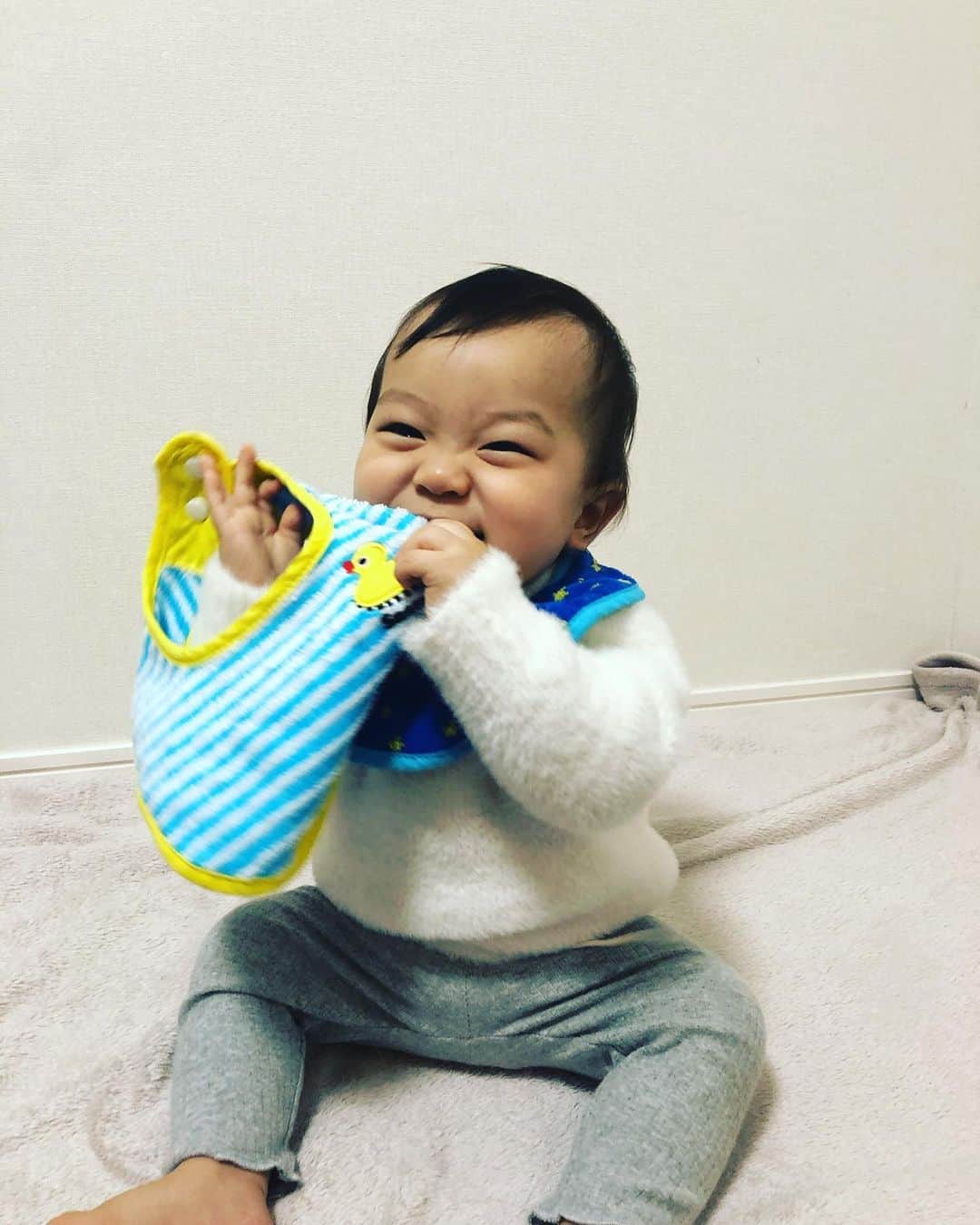 関口未来さんのインスタグラム写真 - (関口未来Instagram)「ご掲載ありがとうございます💙 #Repost @sassybaby_jp with @get_repost ・・・ .⁣ 今日は @miki.sekiguchi さんからいただいた素敵なお写真をご紹介します📸⁣ 『サッシータオル・ビブセット ブルー』を使っていただきました👶🐝⁣ ⁣ @miki.sekiguchi さんからは、⁣ 「触り心地がよく、タオル好きの息子はずっと触ったり舐めたりしていました！！⁣ デザインがとても、可愛いのでシンプルなお洋服でもアクセントになってとても良いです︎⁣ 面積が大きいので、ビショビショになってすぐに取り替えなきゃいけないということもなく、吸水もよく、親としてもとてもよかったです！」⁣ とコメントをいただきました😊💓⁣ ⁣ 素敵なお写真ありがとうございました☺⁣ ⁣ ⁣ #エアリータオル #ウォシュタオル #サッシー #ダッドウェイ #おもちゃ #知育 #知育玩具 #ベビー用品 #赤ちゃんのいる生活 #赤ちゃんのいる暮らし #プレママ #新米ママ #よだれかけ #スタイ #ビブ #出産祝いギフト #出産祝い #sassy #dadway #instakids #instababy #babytoys」12月19日 12時00分 - miki.sekiguchi_x