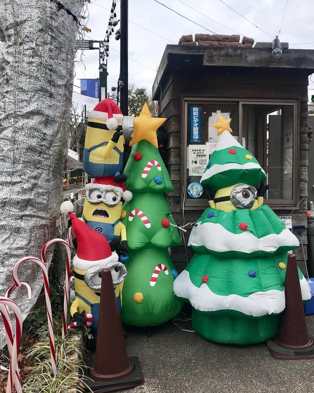 アヤメのインスタグラム：「Christmas is coming around🎄⭐️🍄可愛い👀 #ミニオン #christmasdecor #myneighbor」