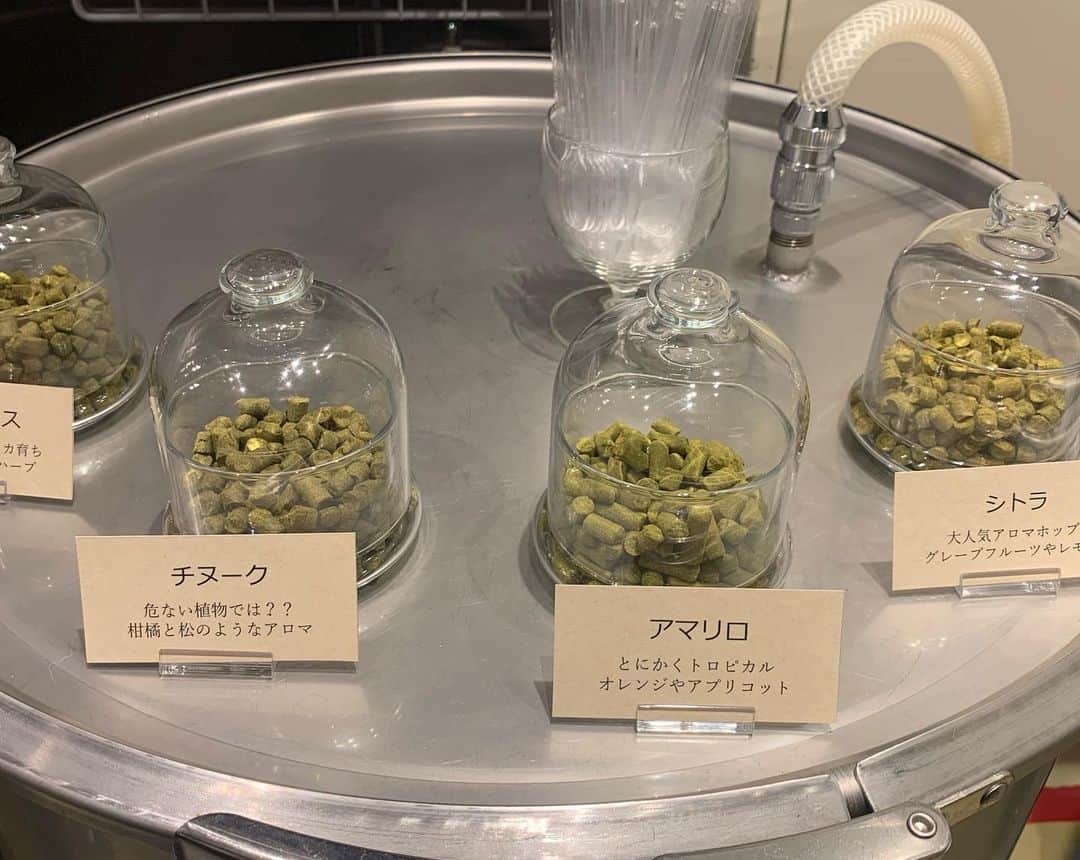 魚金さんのインスタグラム写真 - (魚金Instagram)「本日13時20分頃より TBS系列放送　王様のブランチにて 神田スクエア内にあります 魚金醸造スタンドがご紹介されます  そして本日 魚金醸造スタンドでは醸造家が 直接ビール造りの説明させて いただきながら ペアリングを楽しんでいただける 企画もご用意しております。🍻  番組観た後にでも 気軽に遊びにいらしてください😊  #魚金 #王様のブランチ#クラフトビール飲み比べ #神田スクエア #kandasquare #ごはんクラブ #千代田区グルメ #クラフトビール好きと繋がりたい」12月19日 12時41分 - uokin_koho