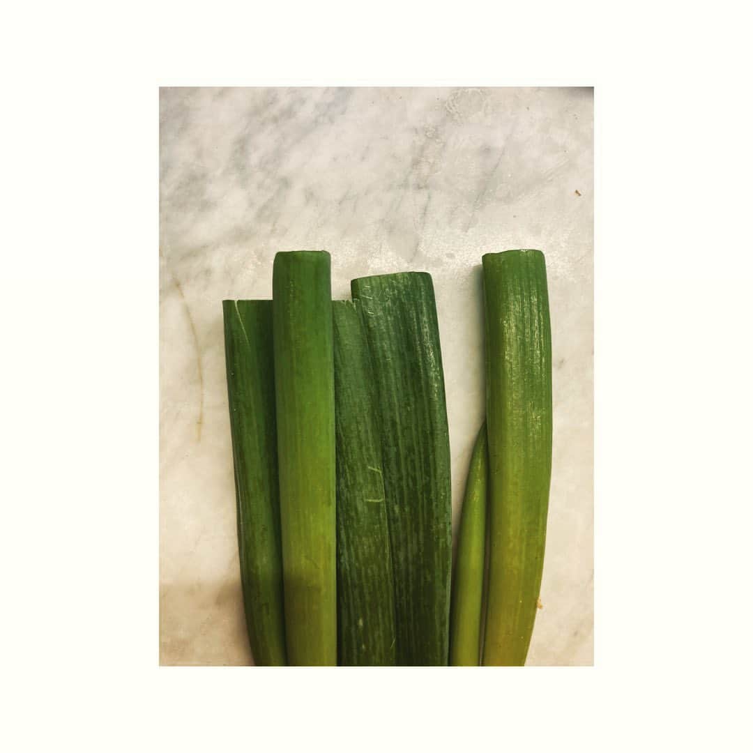 journaleatripさんのインスタグラム写真 - (journaleatripInstagram)「Japanese leek  葱、葱、葱 葱が食べたいと 内なる声が聞こえてきたので 葱1束つかった葱グラタン。 牡蠣はオマケのように忍ばせて檸檬の皮すって仕上げる。 要求は満たされた。」12月19日 12時54分 - eatripjournal