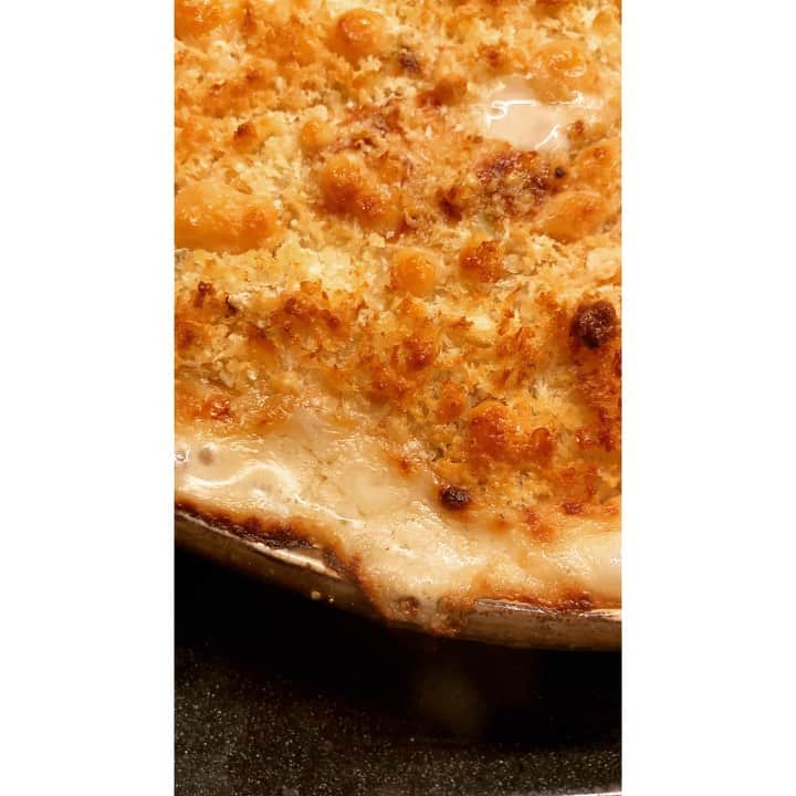 journaleatripのインスタグラム：「Japanese leek  葱、葱、葱 葱が食べたいと 内なる声が聞こえてきたので 葱1束つかった葱グラタン。 牡蠣はオマケのように忍ばせて檸檬の皮すって仕上げる。 要求は満たされた。」