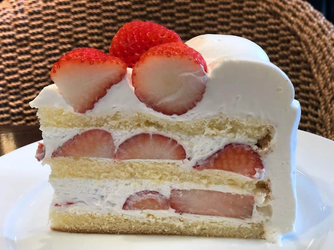 天玲美音さんのインスタグラム写真 - (天玲美音Instagram)「🍓cake🍓  いちご好き🍓🍓🍓  #ショートケーキ #いちご #苺 #イチゴ #strawberry #ストロベリー #すとろべりー #季節 #cake #ケーキ #スイーツ #美味しい #可愛い #sweets」11月25日 22時23分 - miontenrei