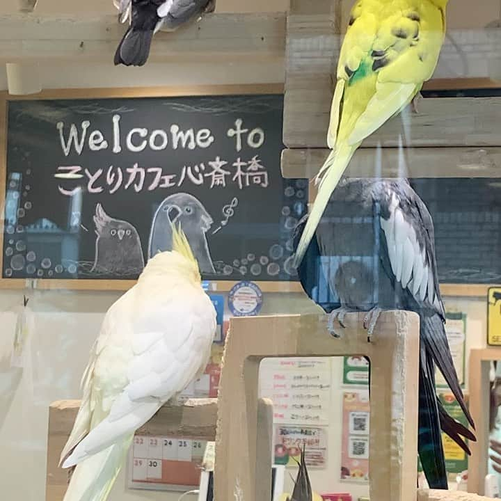 浜口順子のインスタグラム