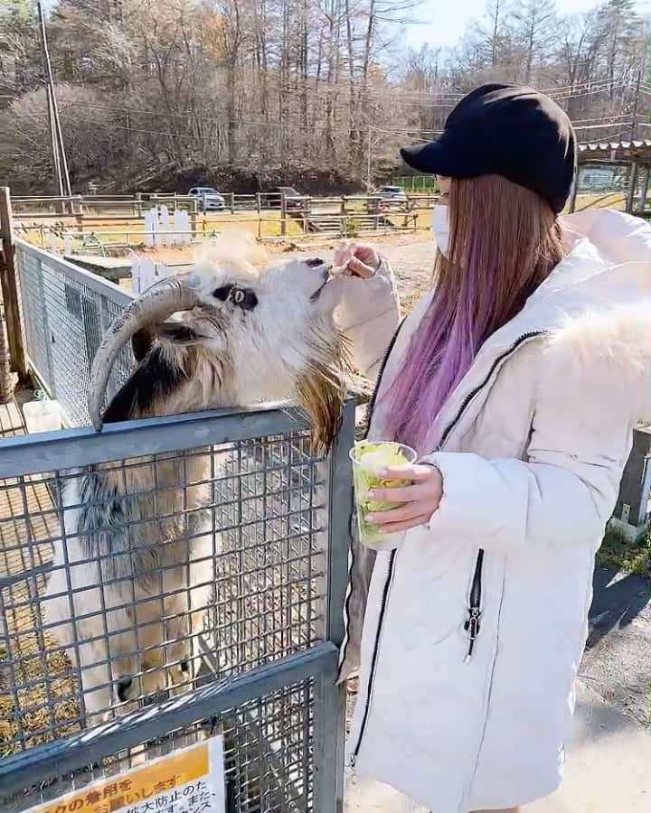 松本ゆんのグルメインスタ