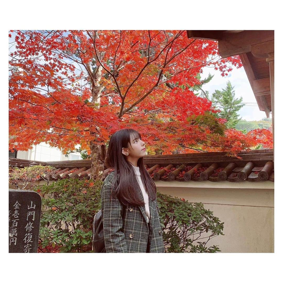 大森莉緒さんのインスタグラム写真 - (大森莉緒Instagram)「・ ・ 綺麗な紅葉見れた😚🍁 ・ ・ #大森莉緒 #おーりお #おりおんず #秋 #紅葉 #instagood #instapic #instphoto #good #autumn #autumnleaves #photo #좋아요 #셀카 #셀카그램 #추억」11月25日 21時24分 - rio.ohmori