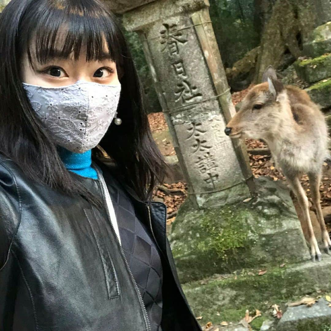 根岸可蓮さんのインスタグラム写真 - (根岸可蓮Instagram)「🦌 大好きな奈良🙌 実は夏にも奈良に行ってきて その時は「境界の彼方」の聖地(1部だけ)見てきました🤤 いつか奈良ホテル…泊まりたい！見てみたい！😭 今回は春日大社だけ行ってきました⛩ 夕方到着🚗💨 春日大社は約1年ぶり〜😋 鹿みくじも引いたんだ🤗 結果は「中吉」😙 大吉最近来てくれないーー😭 途中で撮った鹿さんとも📸 ※ ※ #東大寺 は夏に行った時の写真 ※ ※ たこ虹公式インスタで 明日から少しずつ質問返しコーナー投稿していくねー！🍥 沢山の質問本当にありがとう🥰 お楽しみに〜😋 ※ ※ ※ #たこやきレインボー #たこ虹 #tacoyakirainbow #taconiji #根岸可蓮 #れんれん #Renstagram #アニメ好き #春日大社  #奈良 #奈良公園 #鹿 #鹿みくじ #followme #instagood #れんれんドキドキでーす」11月25日 21時38分 - negishikaren_official