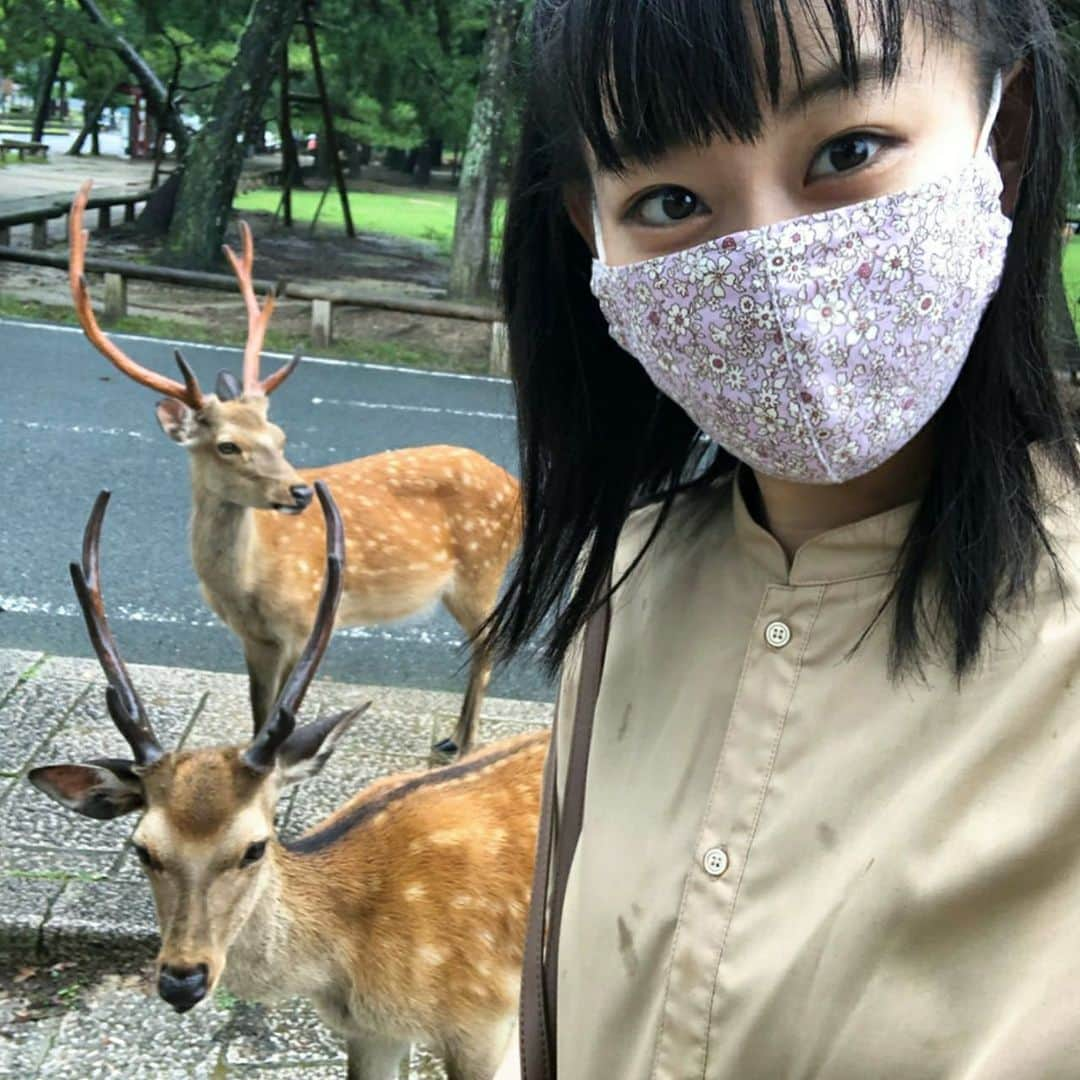 根岸可蓮さんのインスタグラム写真 - (根岸可蓮Instagram)「🦌 大好きな奈良🙌 実は夏にも奈良に行ってきて その時は「境界の彼方」の聖地(1部だけ)見てきました🤤 いつか奈良ホテル…泊まりたい！見てみたい！😭 今回は春日大社だけ行ってきました⛩ 夕方到着🚗💨 春日大社は約1年ぶり〜😋 鹿みくじも引いたんだ🤗 結果は「中吉」😙 大吉最近来てくれないーー😭 途中で撮った鹿さんとも📸 ※ ※ #東大寺 は夏に行った時の写真 ※ ※ たこ虹公式インスタで 明日から少しずつ質問返しコーナー投稿していくねー！🍥 沢山の質問本当にありがとう🥰 お楽しみに〜😋 ※ ※ ※ #たこやきレインボー #たこ虹 #tacoyakirainbow #taconiji #根岸可蓮 #れんれん #Renstagram #アニメ好き #春日大社  #奈良 #奈良公園 #鹿 #鹿みくじ #followme #instagood #れんれんドキドキでーす」11月25日 21時38分 - negishikaren_official