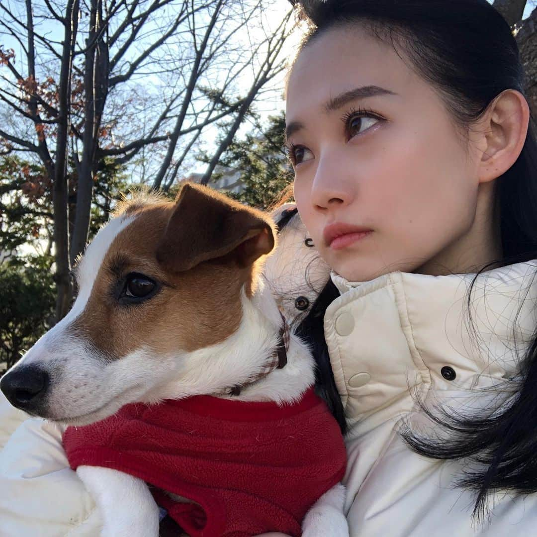 勝田梨乃さんのインスタグラム写真 - (勝田梨乃Instagram)「twins?🐶」11月25日 21時44分 - rino_katsuta