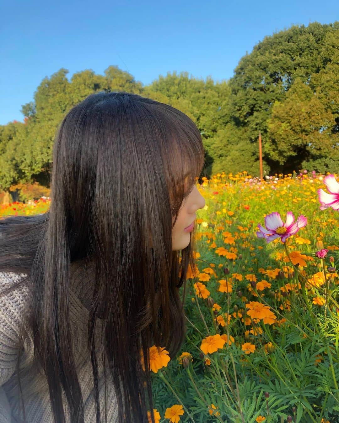 矢倉楓子さんのインスタグラム写真 - (矢倉楓子Instagram)「iPhone ver📸💐 にんまり☺️  #お花畑 #flowers #自然光 #ニットワンピース #紅葉」11月25日 21時47分 - fufu_ice