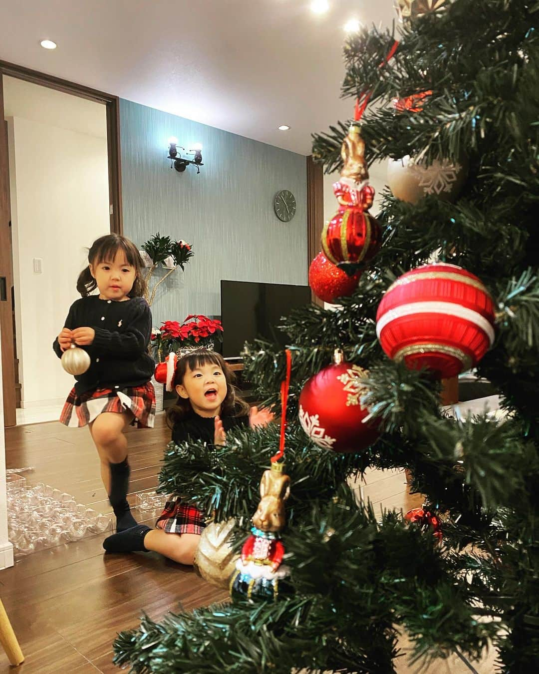 おとすずさんのインスタグラム写真 - (おとすずInstagram)「. 11月に入ってから毎日のように娘から 『早くクリスマスツリー 出そうよー！』と言われ続け 今日やっと重たい腰を上げてツリーを出しました！ （←そんなに大変か？笑） ・ 先週なんて、あまりにも私が出してあげないもんだから 自分たちで考えてツリー（まさかの脚立と水筒）を出してきたので さすがに これは早く出してあげなきゃ…と思った笑 . . クリスマスまで あと1ヶ月💫 ワクワクした気持ちで過ごせたらなぁ〜と思ってます👧👧❤️ . . #二卵性双生児#双子姉妹#双子#3歳10ヶ月#クリスマスツリー」11月25日 22時04分 - otosuzu