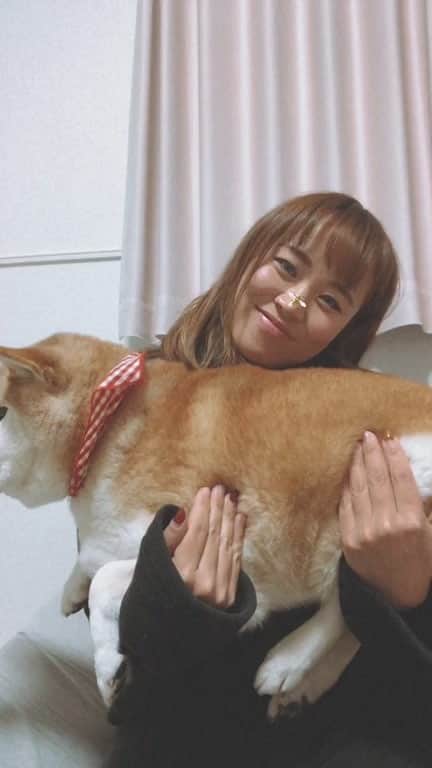 hoshinofumikaのインスタグラム：「女の子のデリケートな問題に向き合ってくれるメンズのみんなありがとう💓 女の子のみんな！ #ぜんぶホルモンのせいだ だから安心してこ！笑ってこ！！ ぬちたんしか勝たん！🐶」