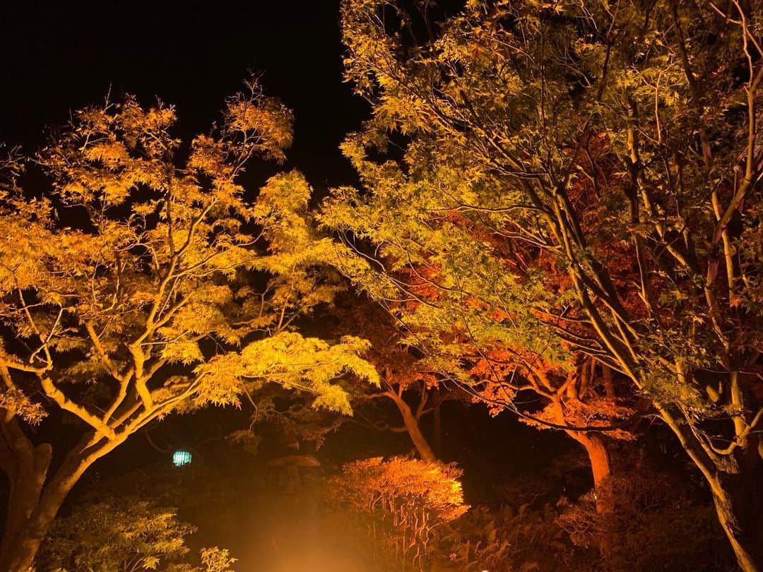 小笠原エリイさんのインスタグラム写真 - (小笠原エリイInstagram)「二十四節気(にじゅうしせっき)は、今でも立春、春分、夏至など、季節を表す言葉として用いられています。日本の季節は24に分かれています🎑 それぞれの節気が日本の季節の移り変わりを感じさせてくれます👘どうしても紅葉を見に行きたく、神戸市にある須磨離宮公園まで行ってきました❗️紅葉ライトアップ、美しい🍂🍁💕極寒でしたが鮮やかな紅葉を見ることが出来てとても満足😆✨日本にいる間に冬も少し楽しもう🎍👏❄️ ・ ・ #四季 #二十四節気 #紅葉 #紅葉ライトアップ #紅葉シーズン #兵庫県 #神戸 #夜の紅葉 #日本 #日本の風景 #須磨離宮公園 #美しい #秋冬 #紅葉見頃 #autumn #autumnleaves #kobe #japan #modellife #beautiful #japaneseculture」11月25日 13時42分 - ogasawaraerii__