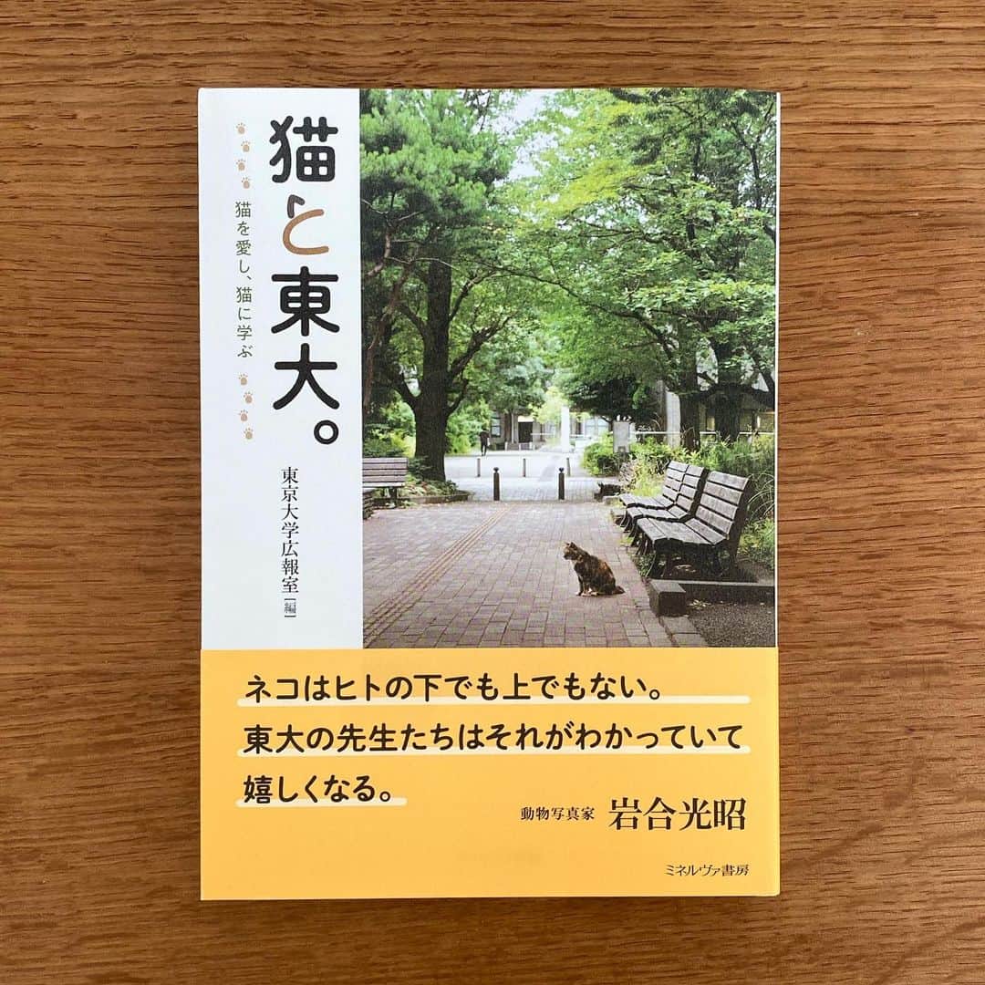 服部円のインスタグラム：「2年前にバズった東大の広報誌の猫特集が書籍化。素晴らしい✨👏🏻 #服部読書」