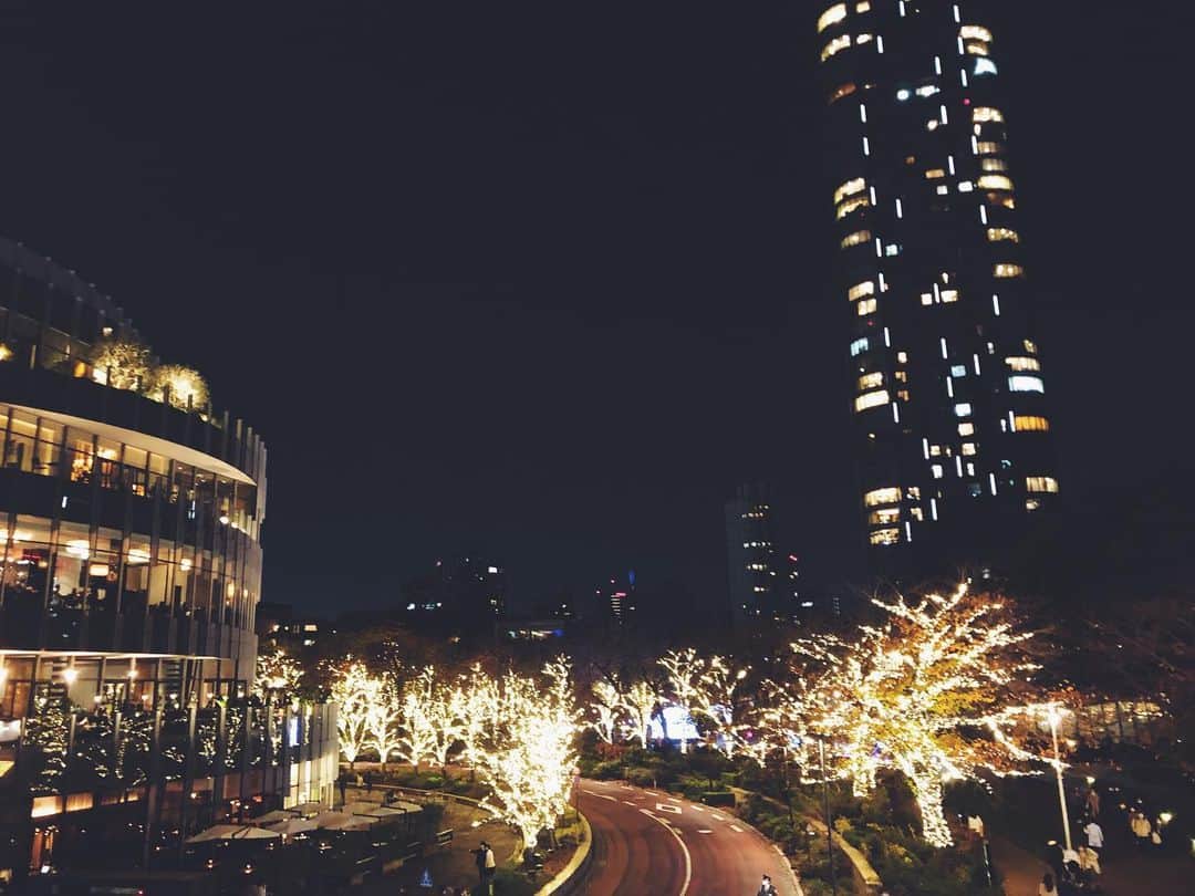 尾形沙耶香さんのインスタグラム写真 - (尾形沙耶香Instagram)「#christmasseason 🎄」11月25日 13時58分 - sayakaogata