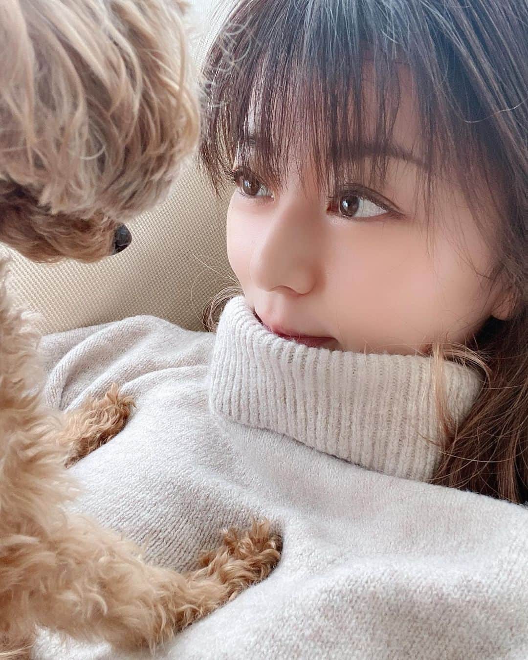 のインスタグラム：「寒いから今夜は鍋にしよう🫕❤️  #またベージュ着てしまった #toypoodle #lemon  #5yearsold  #えれな」