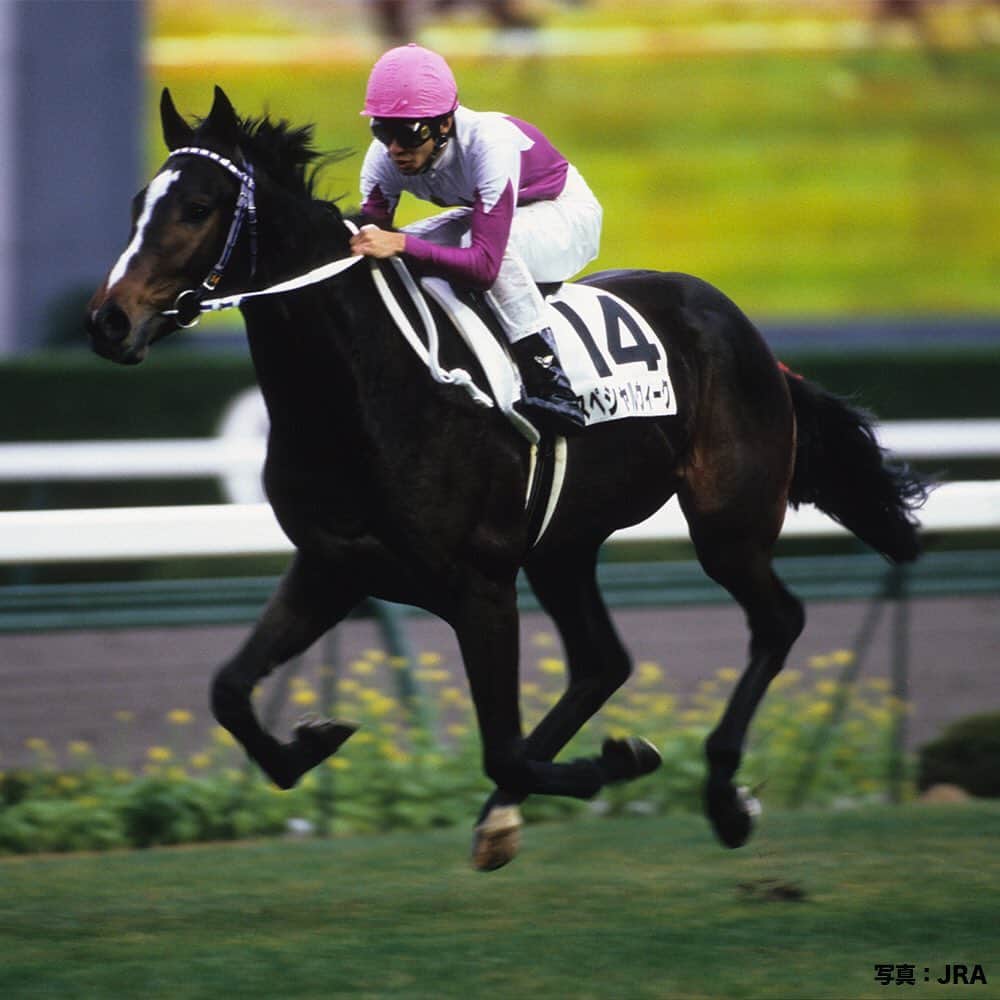 のインスタグラム：「メイクデビュー列伝。  #1997年11月最終週には #天才武豊騎手に #初の日本ダービー制覇をもたらした #スペシャルウィーク が #デビュー #1999年には #今週行われる #ジャパンカップ も #制しているよ #うまび」