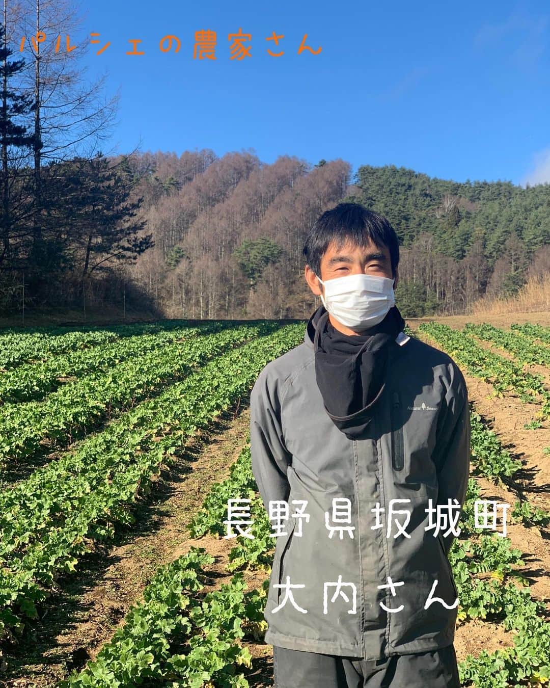 小椿希美のインスタグラム：「・ ナレーションを担当した @parche20nagano  『パルシェ（AC長野パルセイロ×マルシェ）』 長野県産農産物のオンライン販売 パルシェの提携農家さん巡り② ・ 【パルシェの農家さん 　　長野県坂城町の大内さん】 ・ 山道を登ると 北アルプスを一望出来る 絶景の中に広がる畑。 空気がとても澄んでいる 標高1000mの高原で有機栽培を している大内さん。 午前中は、雲海が 広がるんだそうです✨ すごくユーモアのある方で リアクションやお話が 面白かった☺️ 中でも名言出たなと 思った一言が ＊ 『最新機器より丁寧な仕事』 ＊ 大内さんは、スマホを持たず ガラケーを使っています。 あれこれと新しいものを 覚える時間があるのなら 野菜づくりに費やす時間を 増やしたい。 丁寧な仕事をしたいんですと いう誠実なお話が 印象的でした。 なかなか普段農園を離れることは、 出来ないそうですが 本当はサッカー観戦が大好き⚽️ お仕事から手が離せず なんと最後のサッカー生観戦が 1998年のW杯フランス大会😳 22年ぶりのスタジアム観戦 パルセイロの試合で 実現してほしいです⚽️🧡 ・ 大内さんちのお野菜紹介☺︎ ＊ビーツ＊ ロシア料理のボルシチなどで お馴染みのビーツ。 鉄分が豊富な野菜です。 大内さんの作るビーツは、 みずみずしくて フレッシュ！！！ 収穫したビーツを その場で試食させて いただきました🤤✨ ・ おススメの食べ方は、 ○生でスライスしてサラダに ○絞ってジュースに ○すりおろして焼き肉のタレに など、煮込み料理以外にも いろいろな使い方が 出来ることを教えて いただきました📝 ・ 5トンのビーツが出荷に向けて スタンバイしています。 ・ 長野パルセイロがお届けする マルシェ『パルシェ』は、 坂城町の大内さん他 こだわりの長野県産農産物を 生産する農家さんが パートナーです。 ぜひ、この機会に信州野菜や 果物を ご自宅で味わってみてください☺️ @parche20nagano  ・ ・ ・ ・ ・ ☆*:.｡. .｡.:*☆ ☆*:.｡. .｡.:*☆ ☆*:.｡. .｡.:*☆☆*:.｡. .｡.:*☆ パルセイロサポーターの方に お得な情報🧡 J2昇格争いの真っ只中にいる パルセイロ。パルシェから、 パルセイロ応援スペシャルセットが 期間・数量限定で販売中です。 ・ パルセイロのチームカラー オレンジ色の野菜やジュースなど 複数入って5,000円（送料・税込） このセットには、 ＊ホームゲーム観戦ペアチケット ＊パルセイロタオルマフラー が入っています。 ↑ 上の2つだけですでに 5,000円をオーバーという お得過ぎるセットです😳✨ いつものチケットを パルシェで買って、 農家さんこだわりのお野菜や ジュースも楽しめます😋🧡 お申し込みは、パルシェのHPで。 @parche20nagano  ↑パルシェプロフィール画面から 購入サイトにとべます。 数に限りがあり、限定100セット。 お申し込み締め切りは11月30日までだそうです。お早めに！！ ・ #長野#信州#長野野菜#信州野菜 #信州野菜オンライン販売#農産物オンライン販売#パルシェ#j3 #長野パルセイロ#がんばれパルセイロ#パルセイロ応援セット#長野の農家さん#坂城町#ビーツ#長野が大好き過ぎるアナウンサー#長野を贈ろう#ホーム戦残り3試合#fc今治#fc岐阜#いわてグルージャ盛岡」
