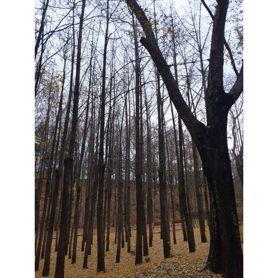ソン・ウンソさんのインスタグラム写真 - (ソン・ウンソInstagram)「쓸쓸함  #겨울」11月25日 16時14分 - soneunseo85