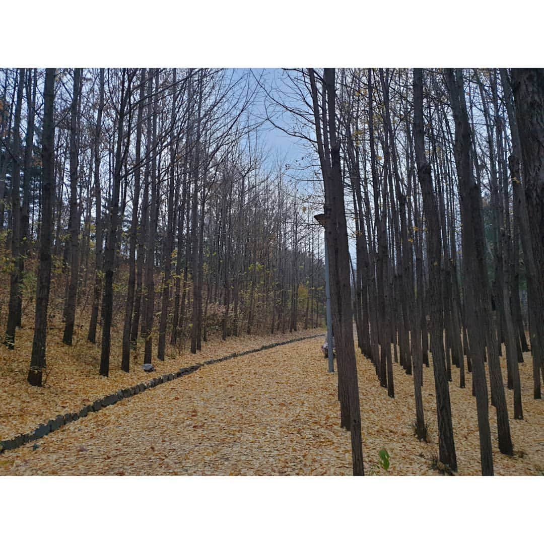 ソン・ウンソさんのインスタグラム写真 - (ソン・ウンソInstagram)「쓸쓸함  #겨울」11月25日 16時14分 - soneunseo85