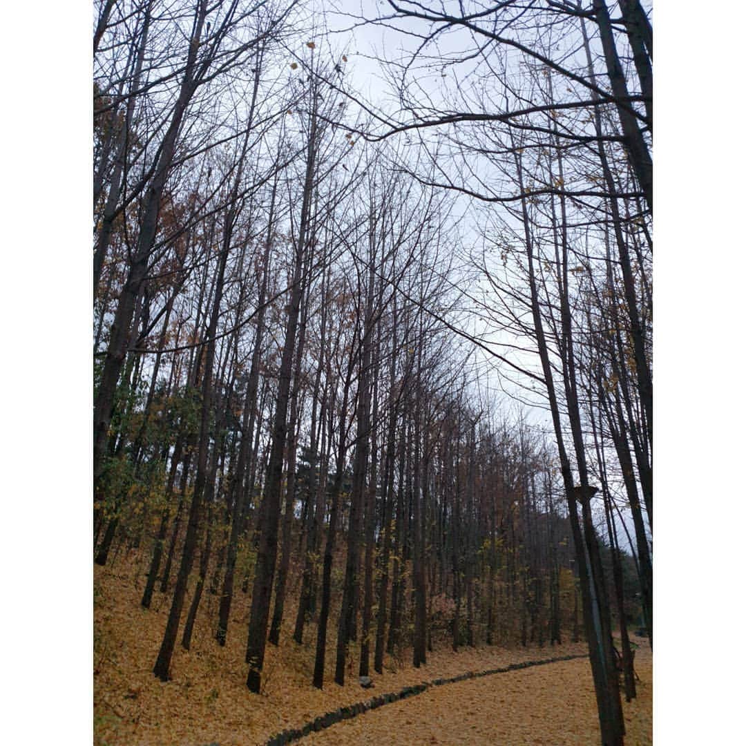 ソン・ウンソさんのインスタグラム写真 - (ソン・ウンソInstagram)「쓸쓸함  #겨울」11月25日 16時14分 - soneunseo85