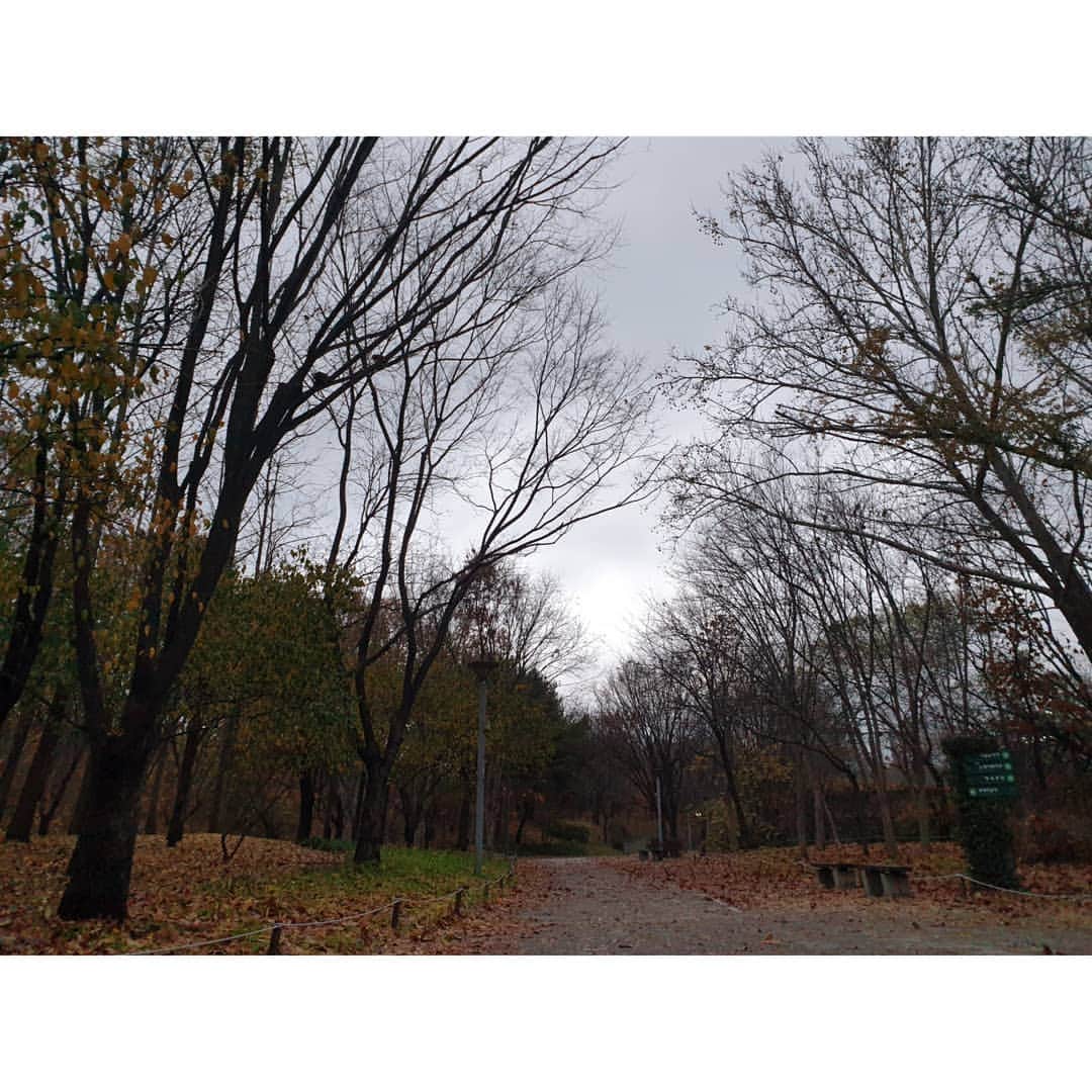 ソン・ウンソさんのインスタグラム写真 - (ソン・ウンソInstagram)「쓸쓸함  #겨울」11月25日 16時14分 - soneunseo85