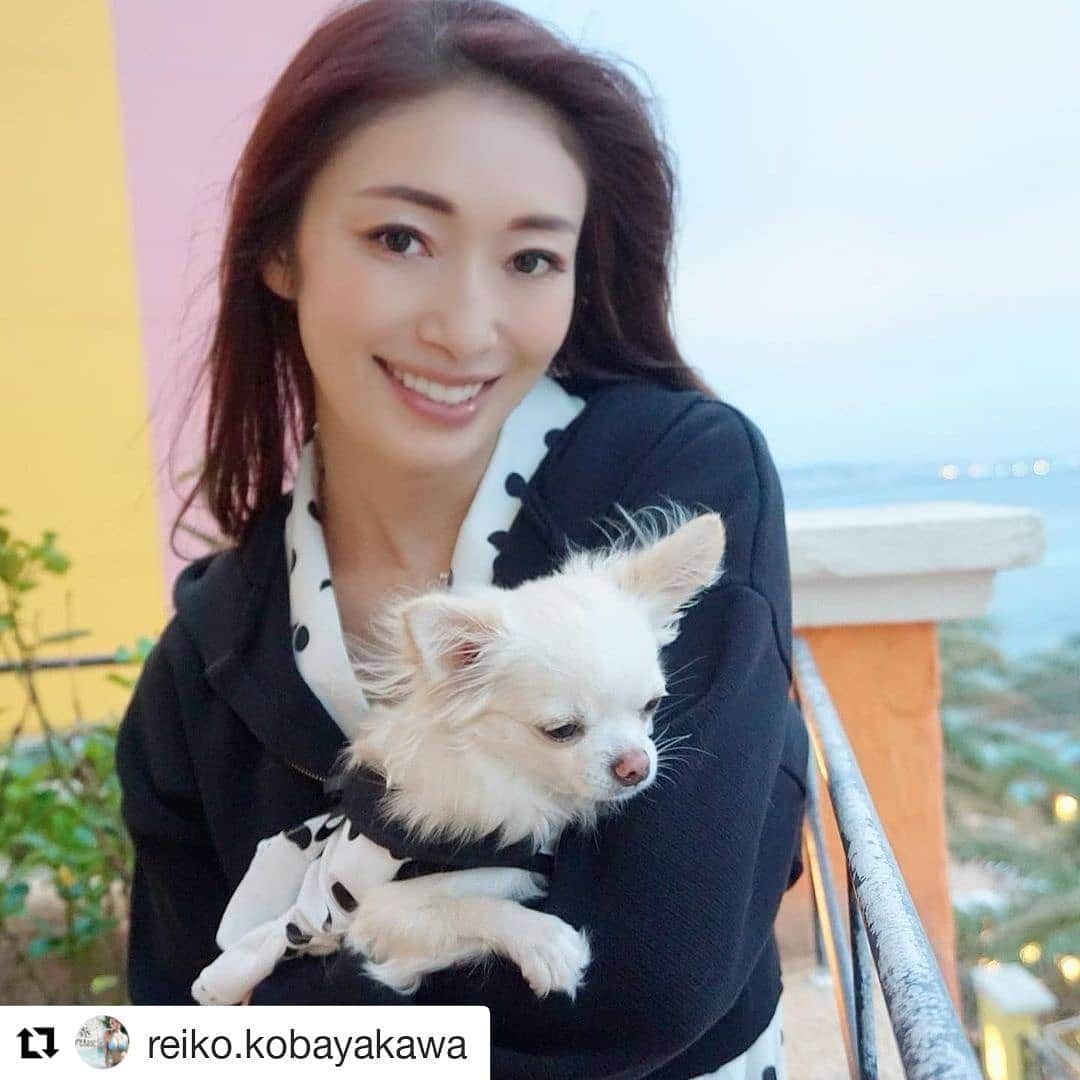 カプセルエージェンシーのインスタグラム
