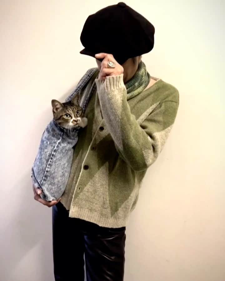 イマイアキノブのインスタグラム：「🥀『ニャラタン』トートバッグ ライブ会場 及び IMAIAKINOBU OFFICIALSITE(通販) https://imaiakinobu.base.ec/ にて販売中  #イマイアキノブ  #imaiakinobu」