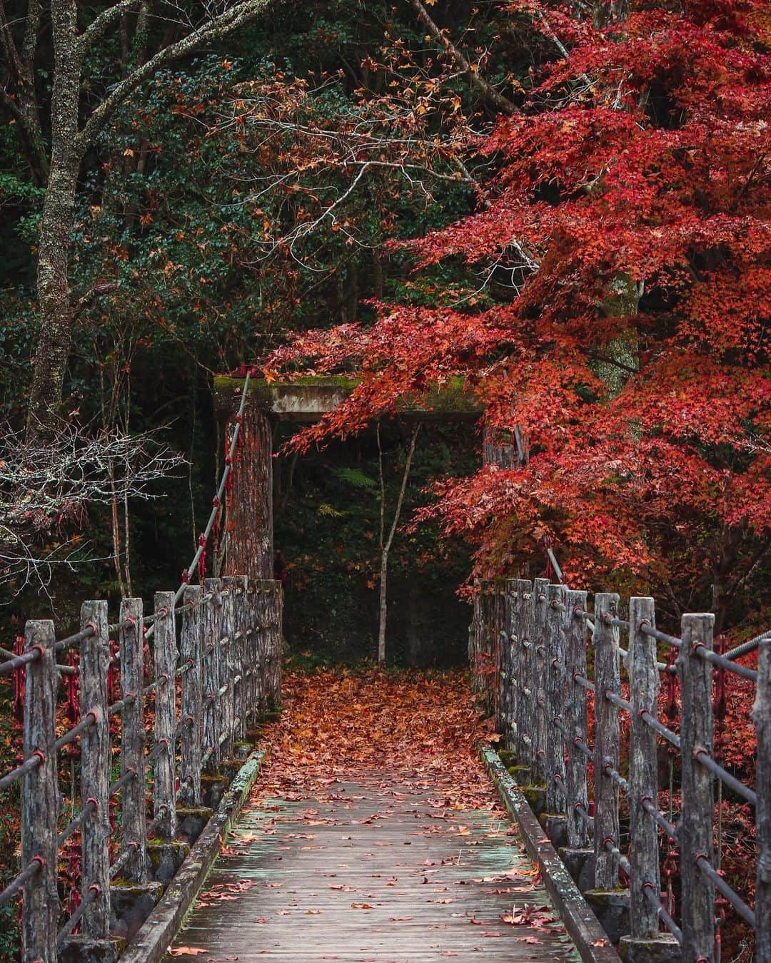 s_shoheyのインスタグラム：「. 風化 .」