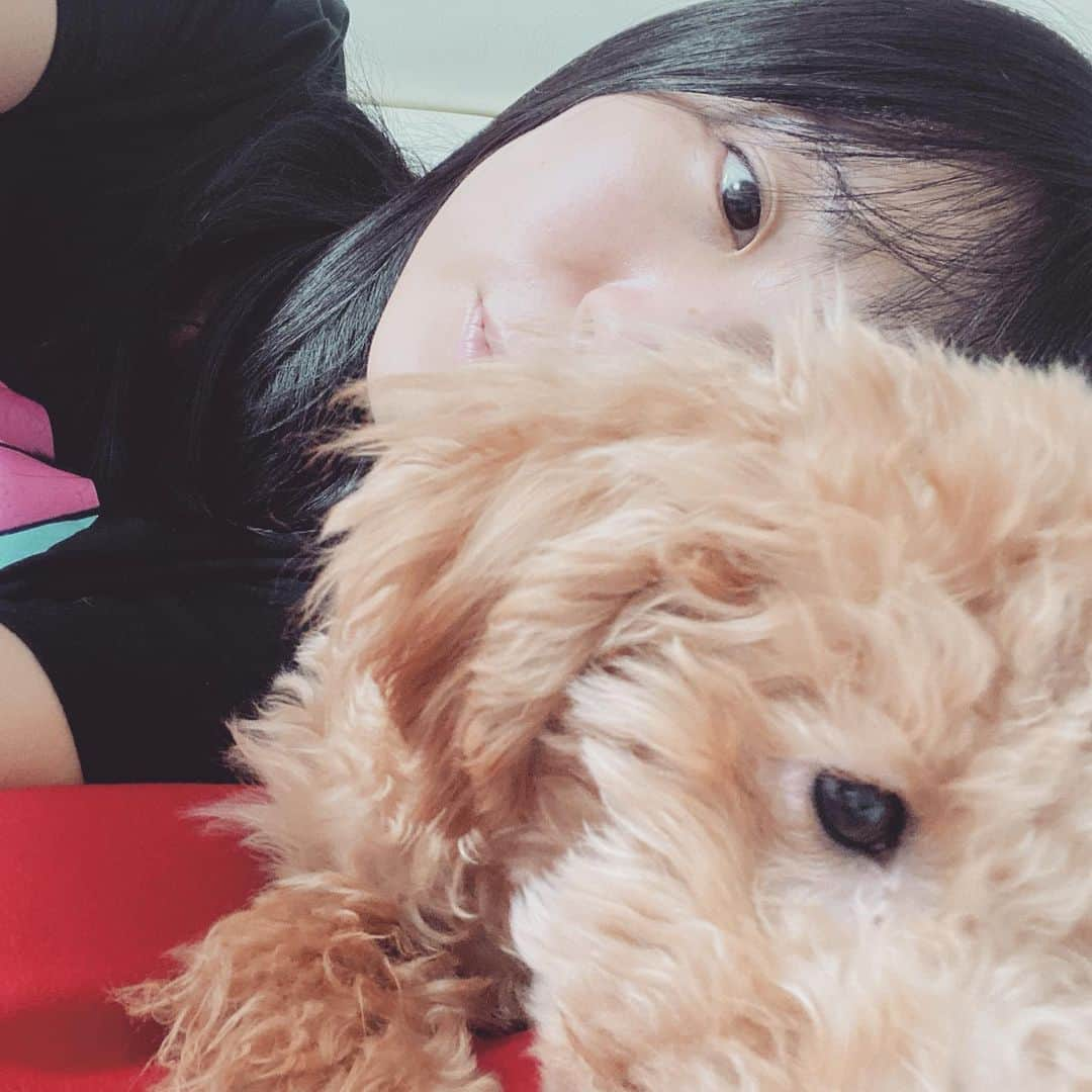 古川未鈴のインスタグラム：「目と目  #dog  #dempagumi  #ぱむ #eye #チワプー #pet」