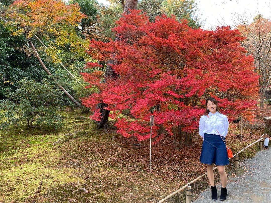 加藤未唯さんのインスタグラム写真 - (加藤未唯Instagram)「京都の紅葉はほんまに綺麗やと思います🌲❤ でも今年は…どうでしょう😇？ #紅葉 #京都」11月25日 17時08分 - miyukato1121