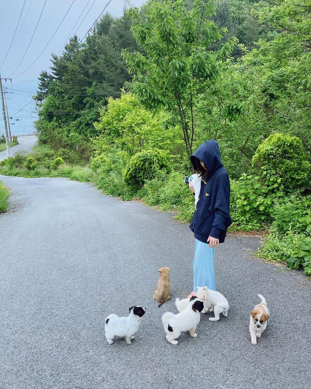 ソン・ファミンさんのインスタグラム写真 - (ソン・ファミンInstagram)「밤새고 바다 보러가는데 갑자기 튀어나온 애기들🐶」11月25日 17時15分 - hwa.min