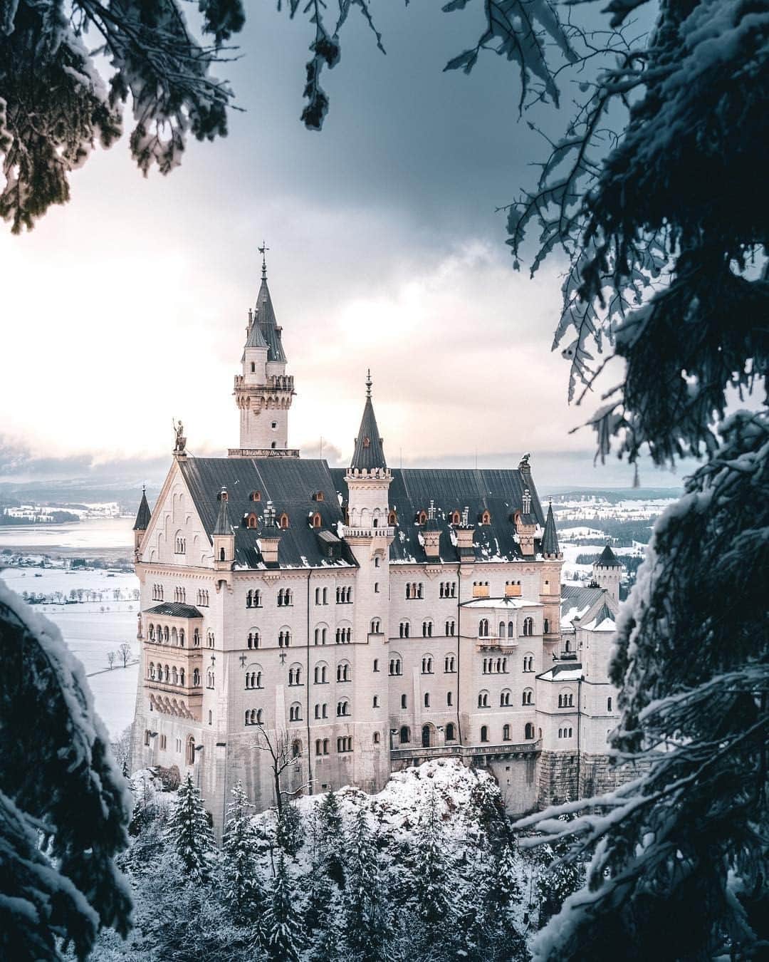 JALさんのインスタグラム写真 - (JALInstagram)「Neuschewanstein Castle: straight out of a fairy tale. #WorldlyNovember  ファンタジーの世界観が漂う #ノイシュバンシュタイン城 🏰 . . Photo by @youcan_photo Post your memories with #FlyJAL  #JapanAirlines #germany #castle」11月25日 17時30分 - japanairlines_jal