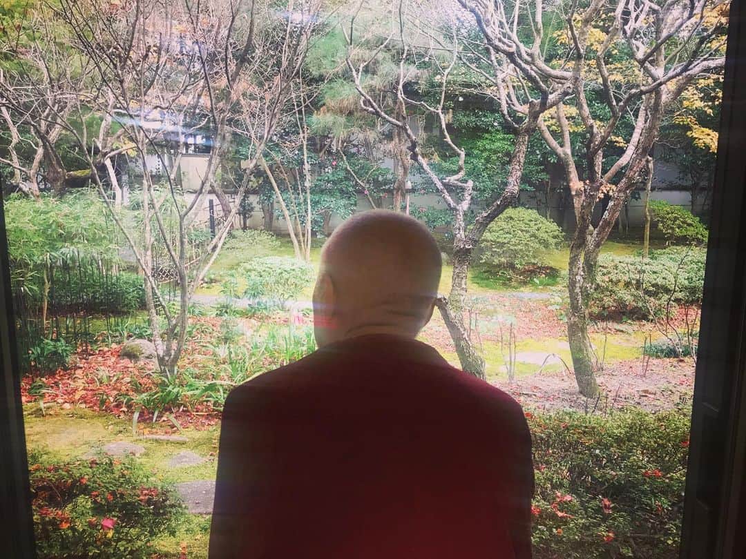 瀬戸内寂聴のインスタグラム：「寂庵の庭の紅葉がほとんど散ってしまいました。  今日の京都はとても寒いです。 締め切りがあるのに、なかなかやる気が出ない！  #インスタ78回目 #寂庵 #京都 #紅葉 #締め切り #瀬戸内寂聴」