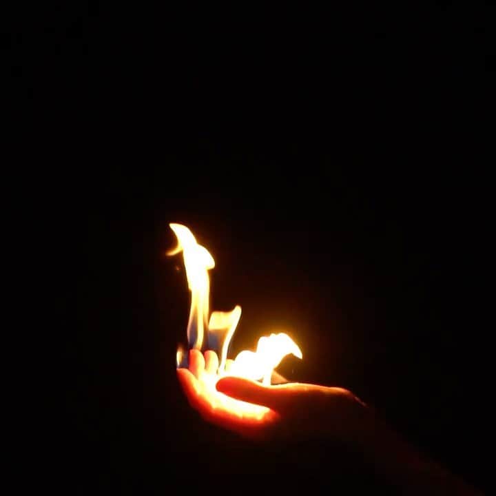 小林エリカのインスタグラム：「わたしの手の中のプロメテウスの火　 In My Hand— The Fire of Prometheus　 2019  Courtesy of Yutaka Kikutake Gallery Video: Akiko Nishimura, Yoichi Takanashi」