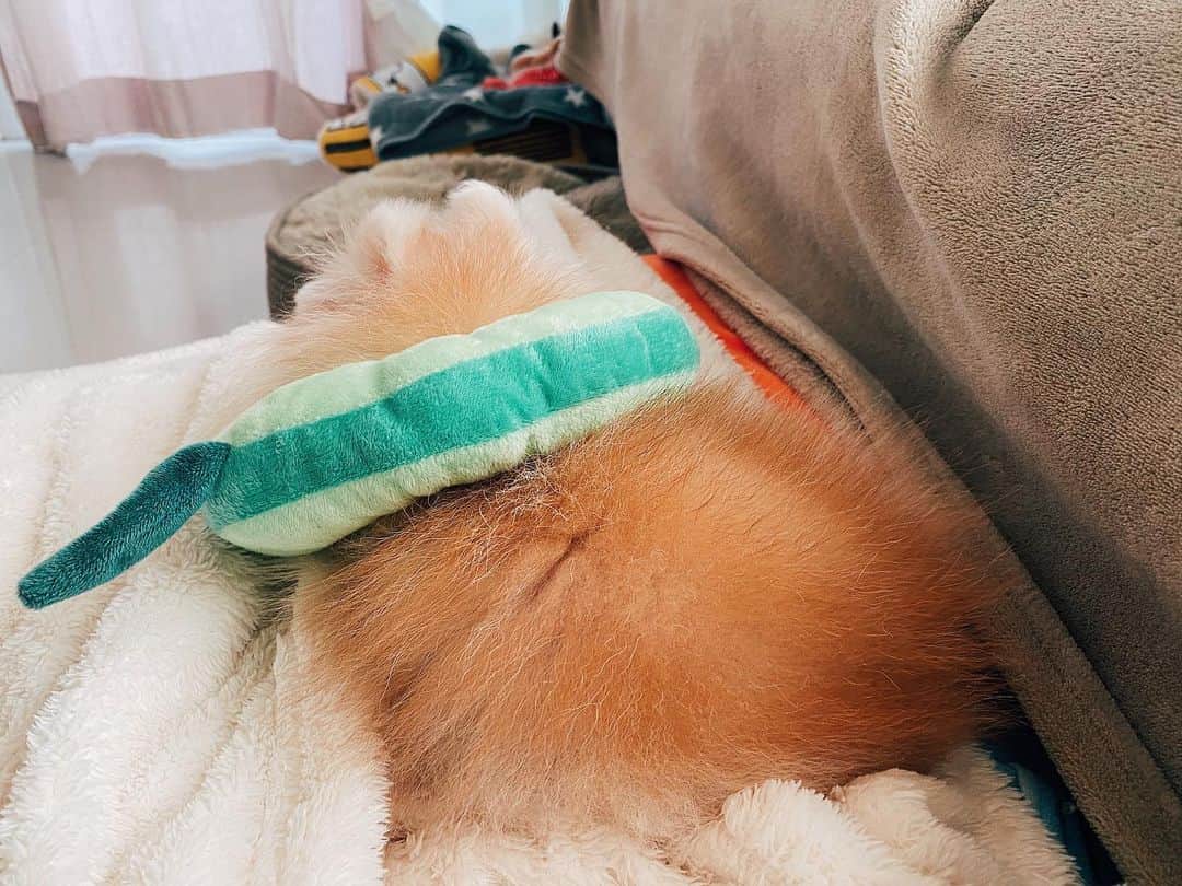 r_oseのインスタグラム：「I don’t care 🥑〰️」