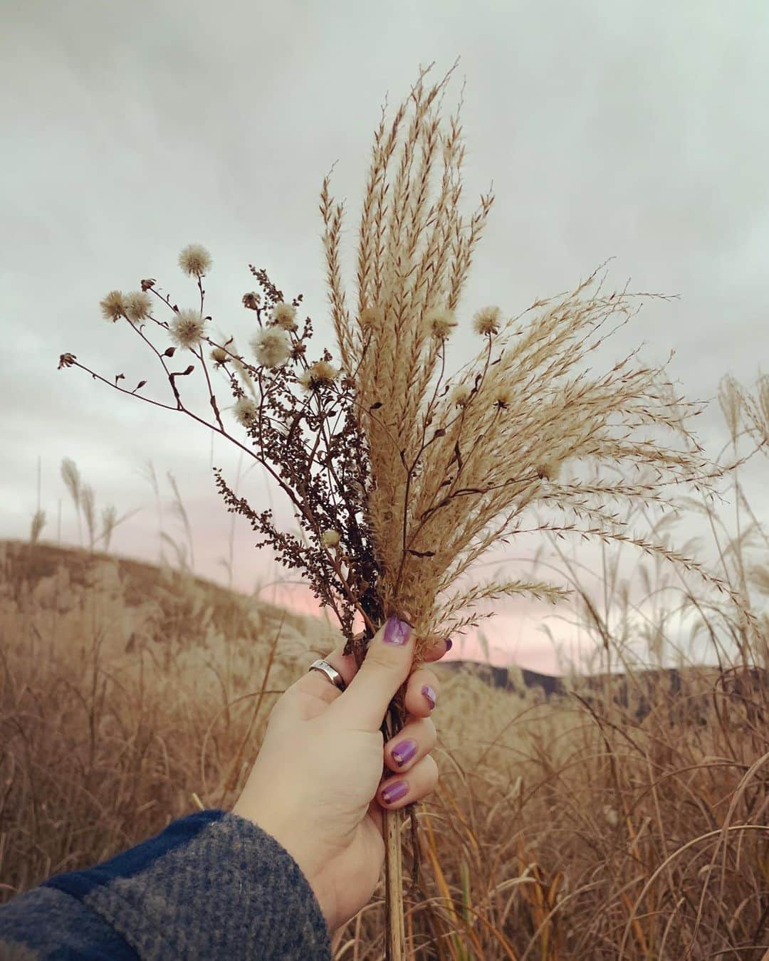 足立佳奈のインスタグラム：「🍂 #今日の足立」