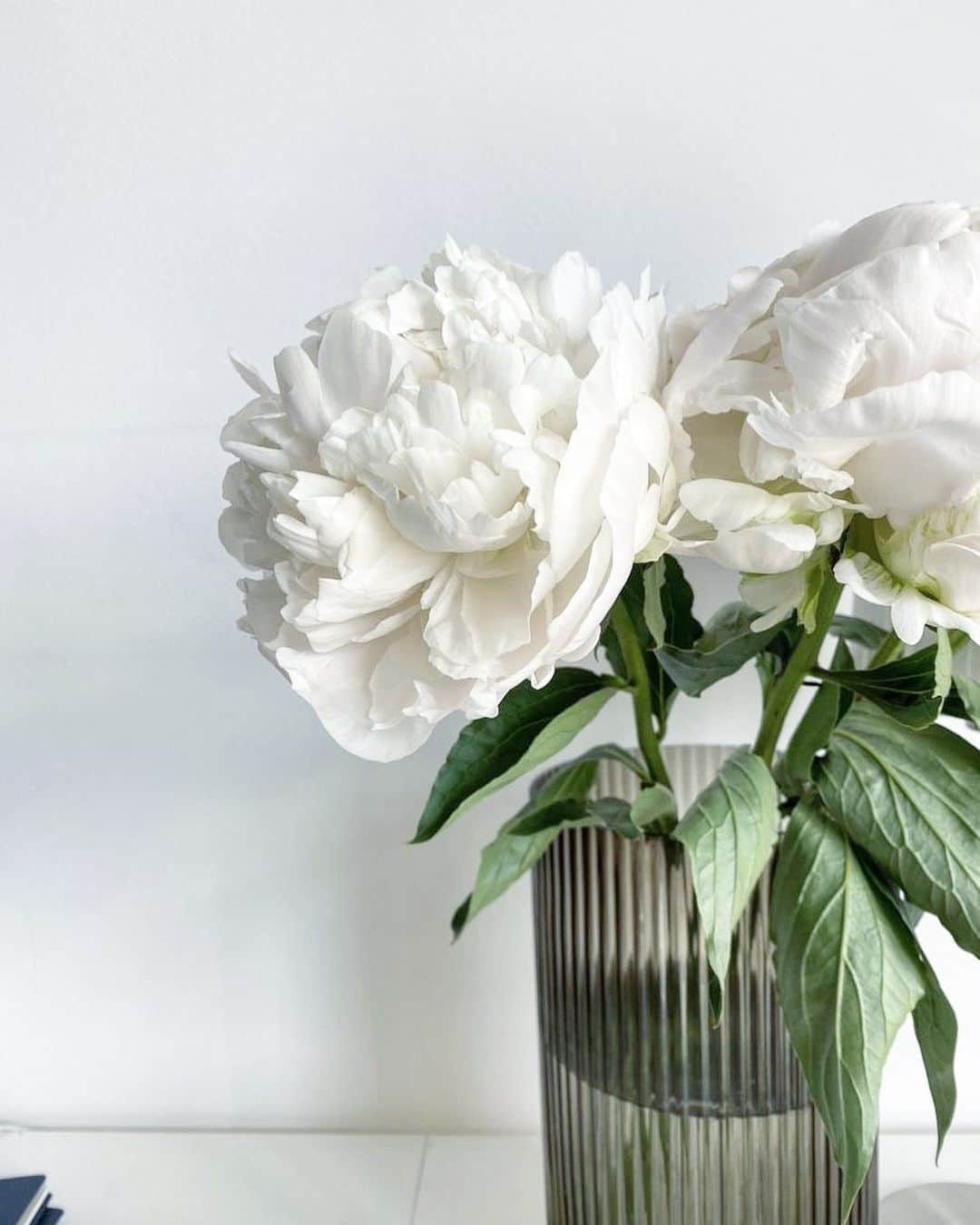 のインスタグラム：「#flower」
