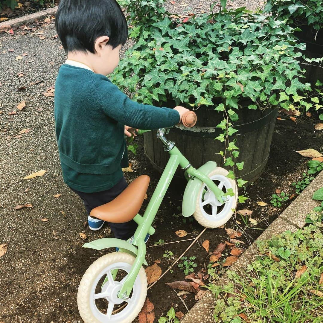 瓜生明希葉さんのインスタグラム写真 - (瓜生明希葉Instagram)「なんじゃこりゃかわいい🥺一目惚れした自転車(ペダルなし)。惚れたのはもちろん息子本人ではなく、わたくし😅  思わずポチったけれどメーカー元であるスウェーデンの2歳サイズと日本の2歳では脚の長さが違うようで🤩足が絶妙につかにゃい🙈ごめんよ息子。乗って遊びたいのに押して連れ回す健気な姿に、おしゃれ重視した浅はか母さんは反省。脚ノビロー、と成長を待っております。  この自転車を買ったbabyshop.com、北欧のお洋服がたくさんあっていつも仕事の息抜きでのぞいてうっかり買ってしまうパターンです💸なるべく近寄らないようにしていますが、久々にのぞいたらブラックフライデーセールもやっていてね🤤そしてまたポチだよ。  #stoy #babyshopcom #初めての自転車」11月25日 18時37分 - akiha_uryu