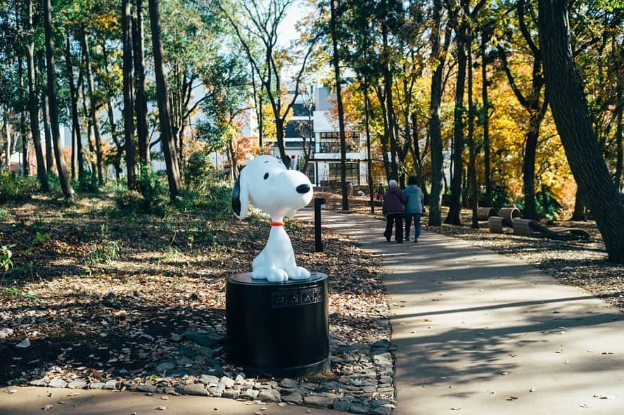 SNOOPY MUSEUM TOKYOのインスタグラム：「#snoopymuseumtokyo #schulzmuseum #snoopy #スヌーピーミュージアム #スヌーピー」