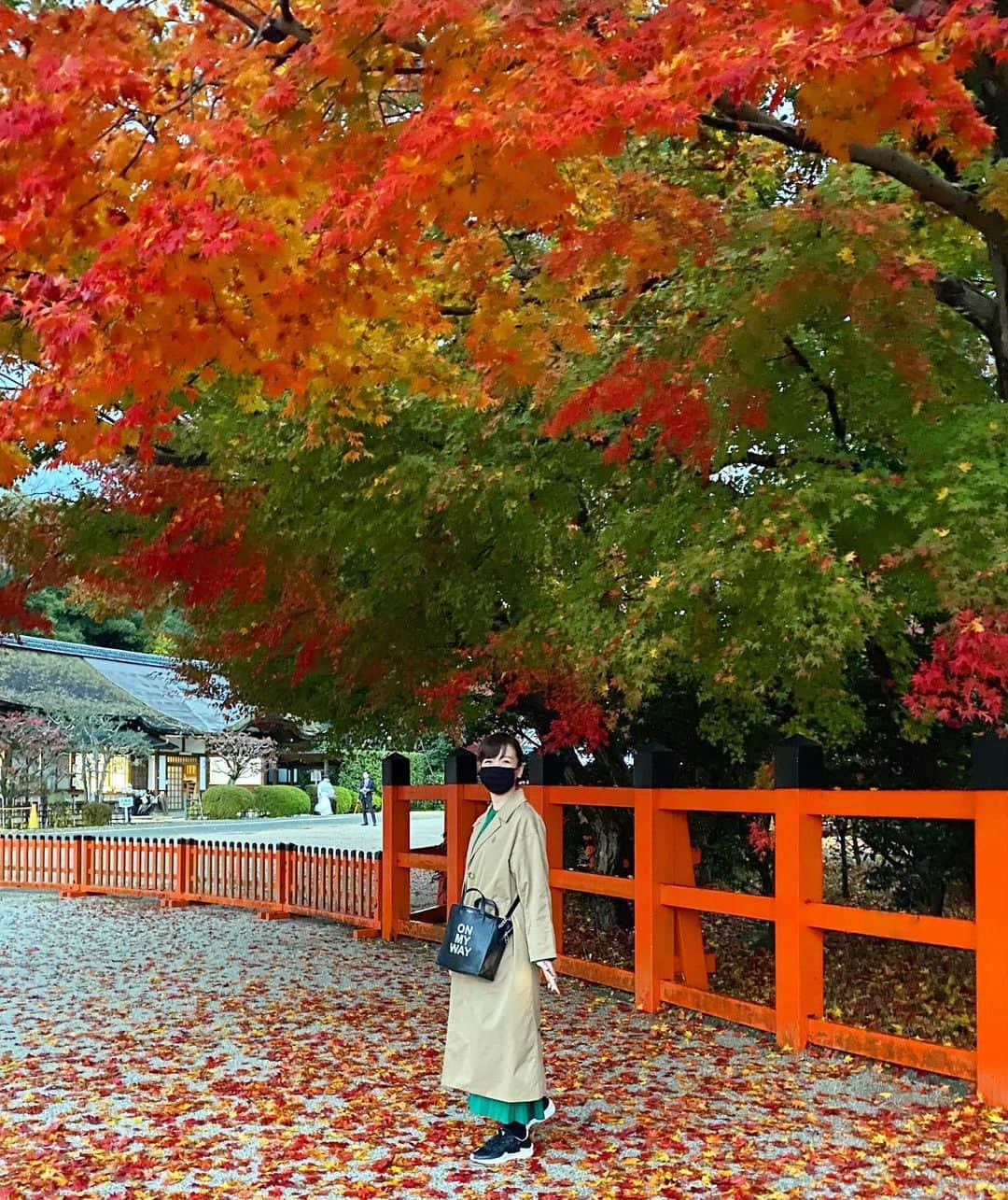 進藤やす子さんのインスタグラム写真 - (進藤やす子Instagram)「✳︎ 10月頭の沖縄旅行中にあれよあれよと決まった今回の京都旅。 こんな紅葉ど真ん中のタイミングで京都、ってもしかしたら学生の時以来かも。（3年前10月半ばの取材で比叡山や嵐山が色づき始めてたのはあったんだけど） . 色んな色が混ざってる感じがすごく好き。 いと美しき恋染紅葉🍁 . .  #紅葉 #京都 #やす子の京都旅2020 （振り返り日記） #上賀茂神社 #賀茂別雷神社」11月25日 18時52分 - yasukoshindo