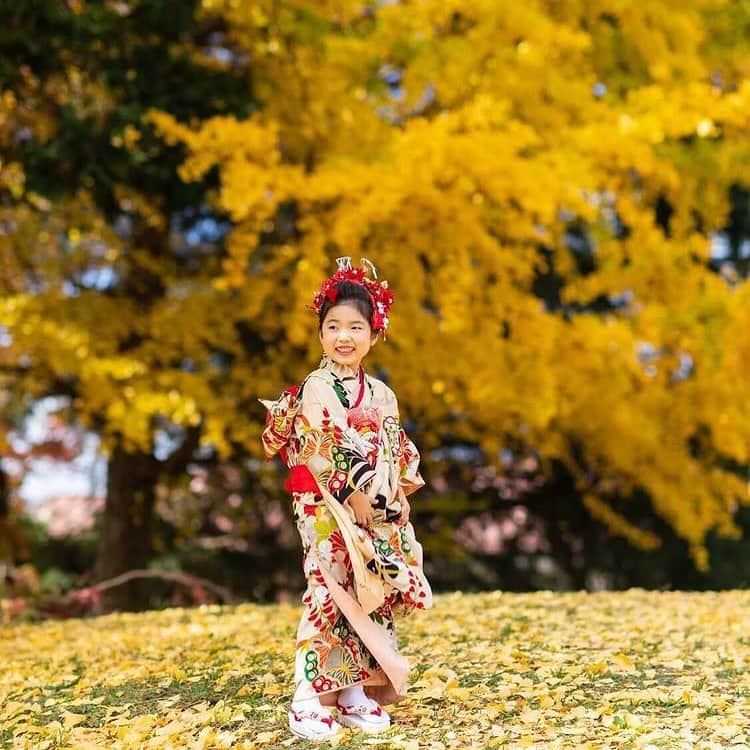 市川ショウさんのインスタグラム写真 - (市川ショウInstagram)「カメラマンさんがピックアップしてくれたものを少しだけ先に送ってくれた✨✨ 写真のあまりの綺麗さに言葉が出ず。 プロの腕前って凄い。 これからも元気に成長していってね😊  #七五三　#7歳女の子  #母通り越して祖母の着物　#新日本髪　#和っていいね  #着物　#katsumata_studio」11月25日 18時58分 - ichi_show