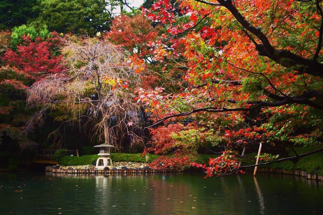 八芳園のインスタグラム