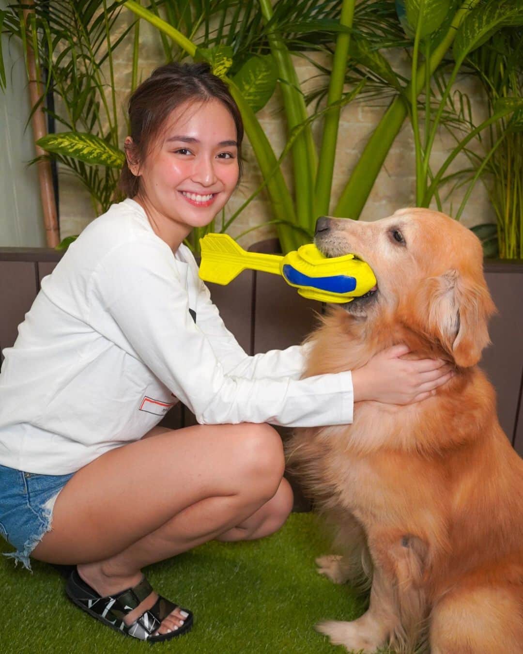 Kathryn Bernardoさんのインスタグラム写真 - (Kathryn BernardoInstagram)「Congratulations to my @nutrichunksph family for hitting 250,000 Likes & Followers! Join their PAWndraising Program and help furbabies everywhere by choosing NUTRI CHUNKS! Every 1KG of purchase from Lazada donates 1 peso to their partner pet shelters and helps keep rescued furbabies stay #ListoGanado. 🐶  What are you waiting for, PAWrents? Add to cart na! 💙」11月25日 19時06分 - bernardokath