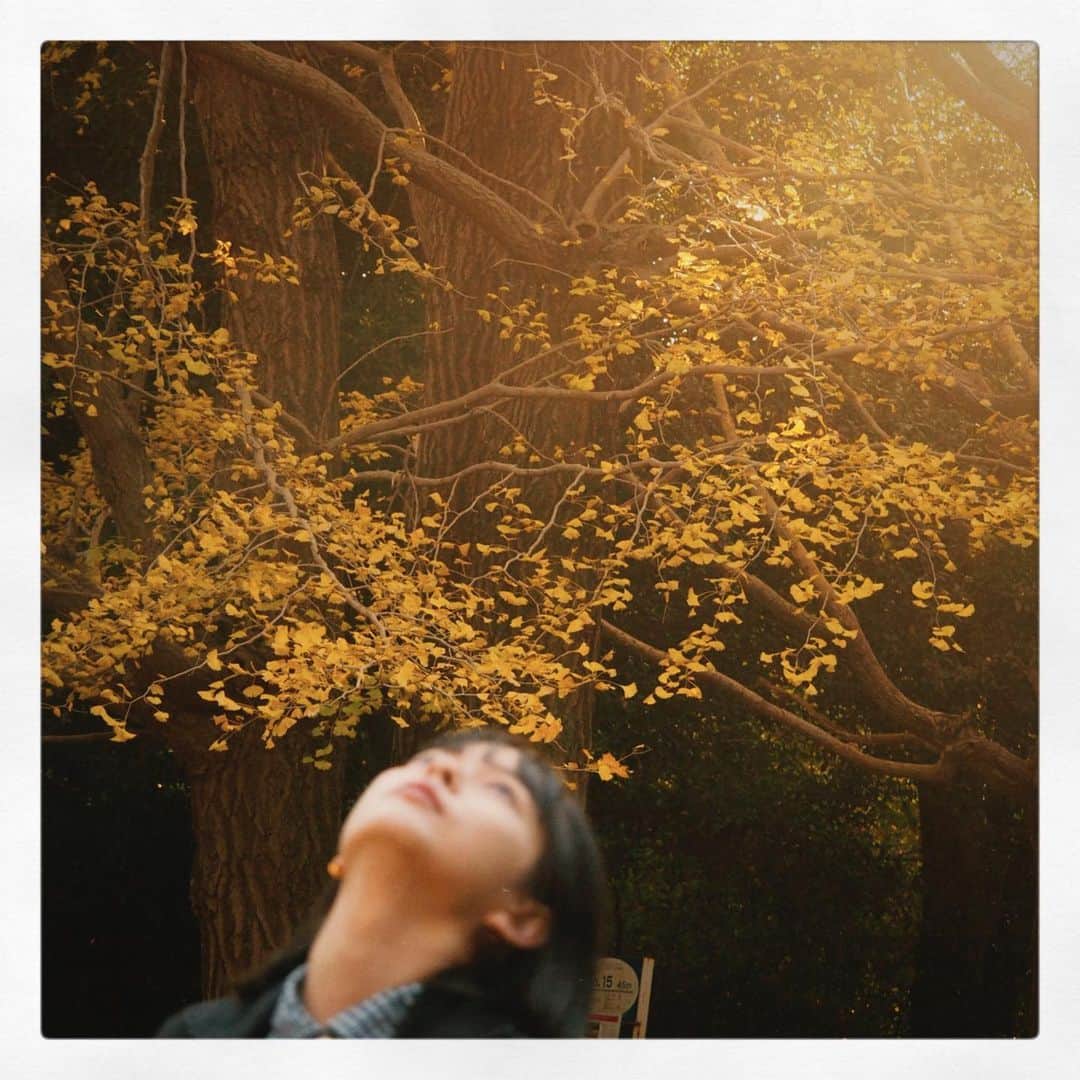 夏子さんのインスタグラム写真 - (夏子Instagram)「キレイな空気」11月25日 19時17分 - natsuko93_official