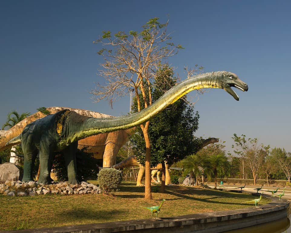 タイ国政府観光庁さんのインスタグラム写真 - (タイ国政府観光庁Instagram)「・﻿ ／⠀﻿ タイでどこ行く❓何する❓⠀﻿ 今週の注目スポットは...🇹🇭✨⠀﻿ ＼⠀﻿ ﻿ 🌟今月のテーマ：イサーン地方﻿ 📍コーンケーン県﻿ ⠀﻿ 今週は、恐竜の化石が続々と発掘されている「コーンケーン県」に注目👀✨﻿ ﻿ タイで初めて恐竜化石が発見されたのは、1976年、コーンケーン県の「プーウィエン国立公園」内のことでした🔨﻿ その後1981年から本格的に化石発掘が始まり、1億3千年前のものと思われる化石が続々と掘り起こされるように👏﻿ ﻿ 「プーウィエン恐竜博物館」では、それらの骨格標本や、実物大の恐竜ジオラマが展示されています🦕✨﻿ ﻿ ちなみにプーウィエン国立公園には、イサーンの先人たちが描かれた数多くの先史時代の壁画も残されていますよ😌﻿ ﻿ ＜アクセス＞﻿ バンコクから飛行機で約1時間✈️﻿ ﻿ #タイ #コーンケーン #イサーン #プーウィエン国立公園 #プーウィエン恐竜博物館 #化石  #恐竜 #恐竜博物館 #恐竜好き  #歴女 #考古学 #こんなタイ知らなかった #タイを知りつくす #タイ旅行 #旅好きな人と繋がりたい #旅行好きな人と繋がりたい #海外旅行 #thailand #khonkaen #phuwiangnationalpark  #phuwiangdinosaurmuseum #dinosaurmuseum #museum #fossil #amazingthailand #thailandtravel #thailandtrip #thai #thaistagram #lovethailand」11月25日 19時24分 - amazingthailandjp