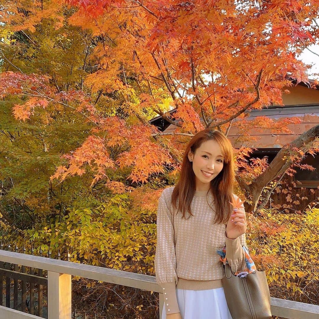 澤野井香里のインスタグラム：「ちょうど紅葉が色づいてきたので#北野天満宮 にお散歩へ♪  青紅葉から真っ赤な紅葉までグラデーションがとっても綺麗で、#もみじ苑 の中を何度も行ったり来たり☺️🍁  17時からライトアップ💡なので16〜18時の間に行くと、夕陽にかざされた紅葉から、ライトアップまで両方楽しめてすごく良かった💕  この日は袖のパールがポイントになったベージュの千鳥柄ニットで✨ 冬の人気アイテムが50名様にあたるお得なキャンペーンが開催中みたい＾＾✔︎ @j.lounge_official   #ks_20✨  #ks_kyoto✨　#京都　#北野白梅町　#北野天満宮 #京都観光 #京都紅葉 #紅葉 #紅葉ライトアップ　#🍁　#紅葉スポット#kyoto #queenscourt #jlounge_style #pr」